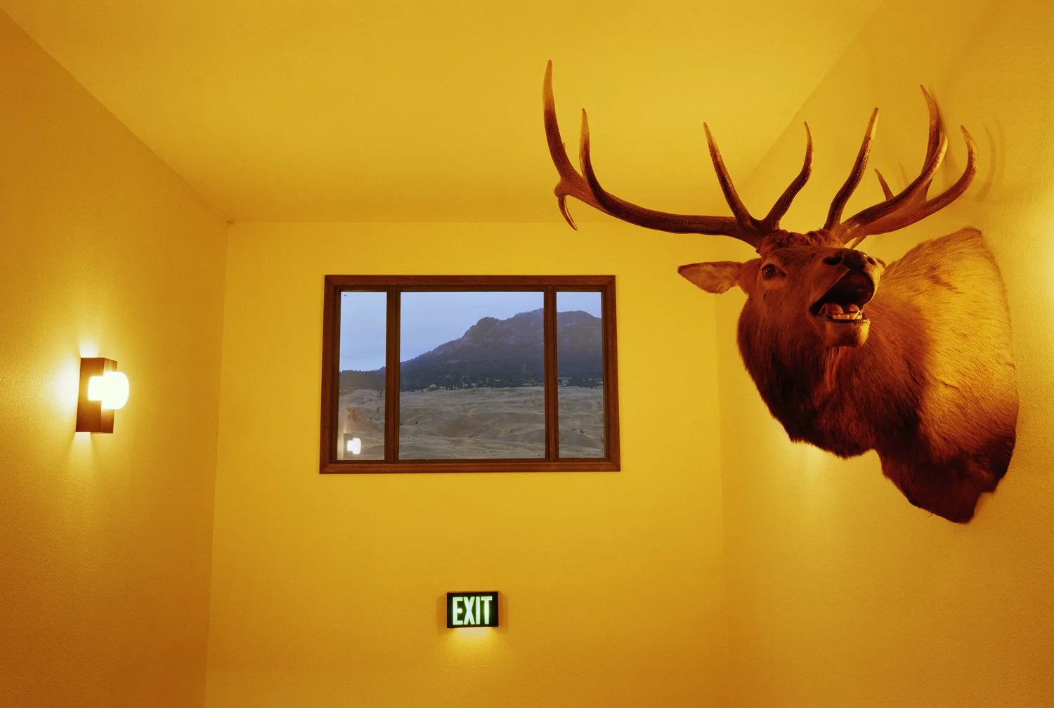 Len Jenshel Original 3