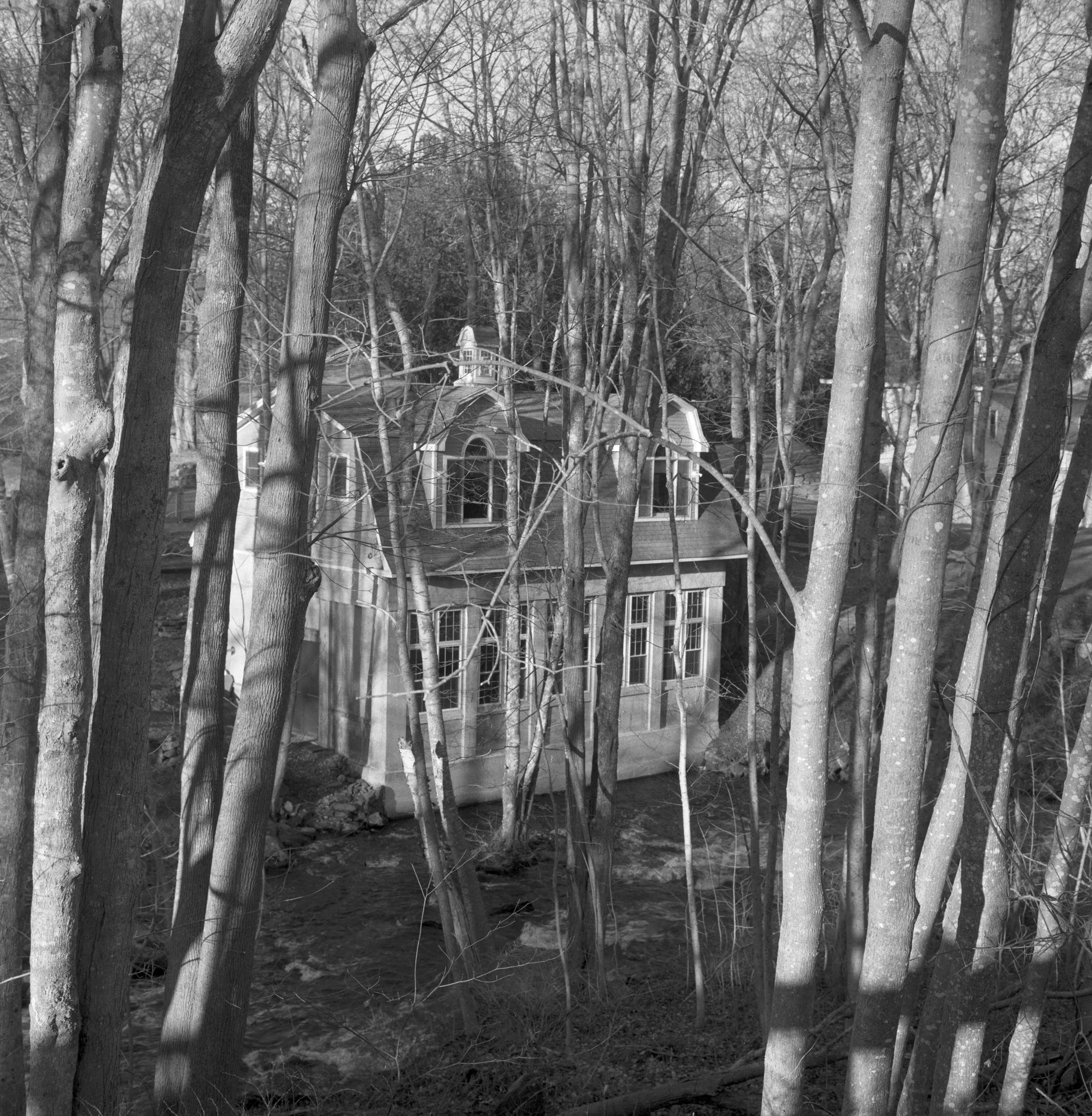 D3JohanssonNew01 Bristol, Maine, 2023.jpg