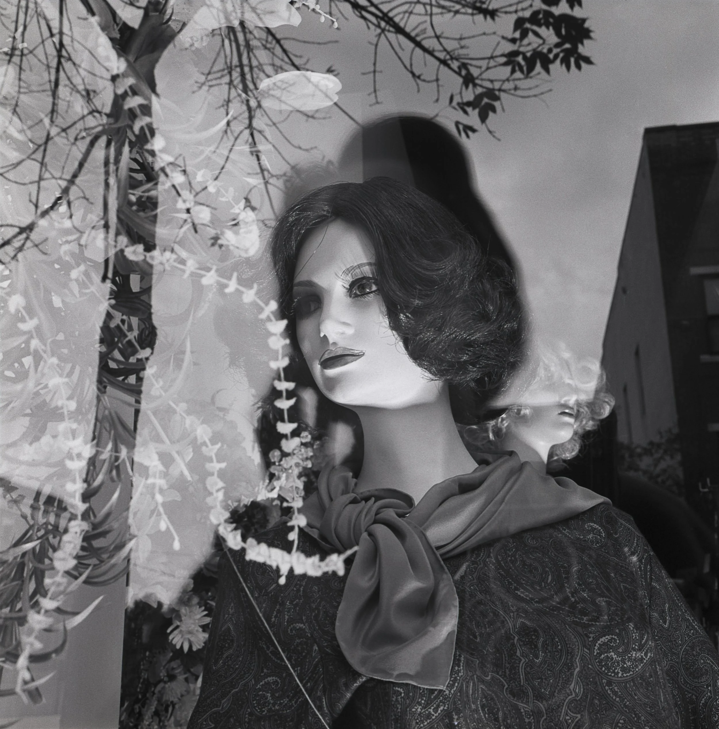 Diane Cook and Len Jenshel New 3