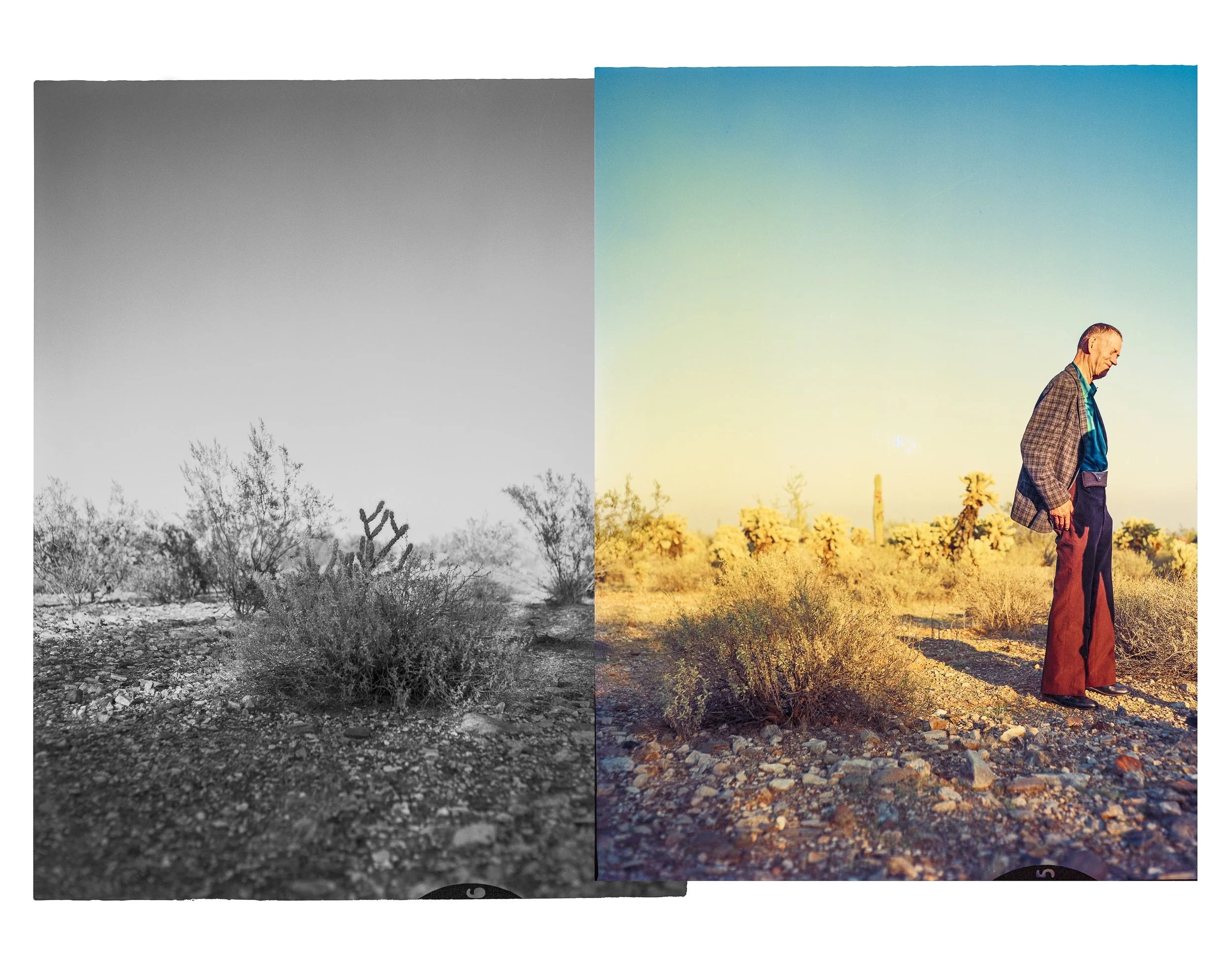 Steve Davis Original 3