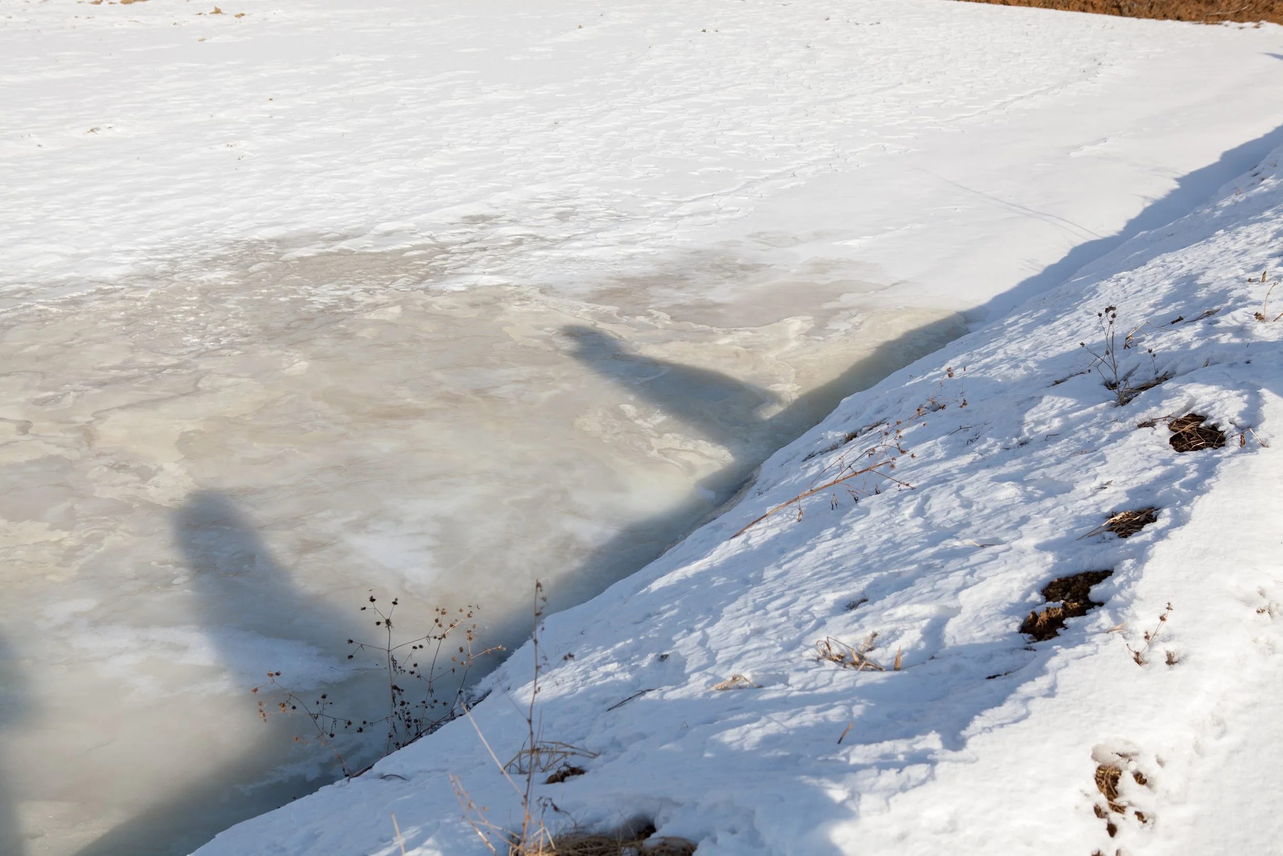 Goseong Choi Original 1