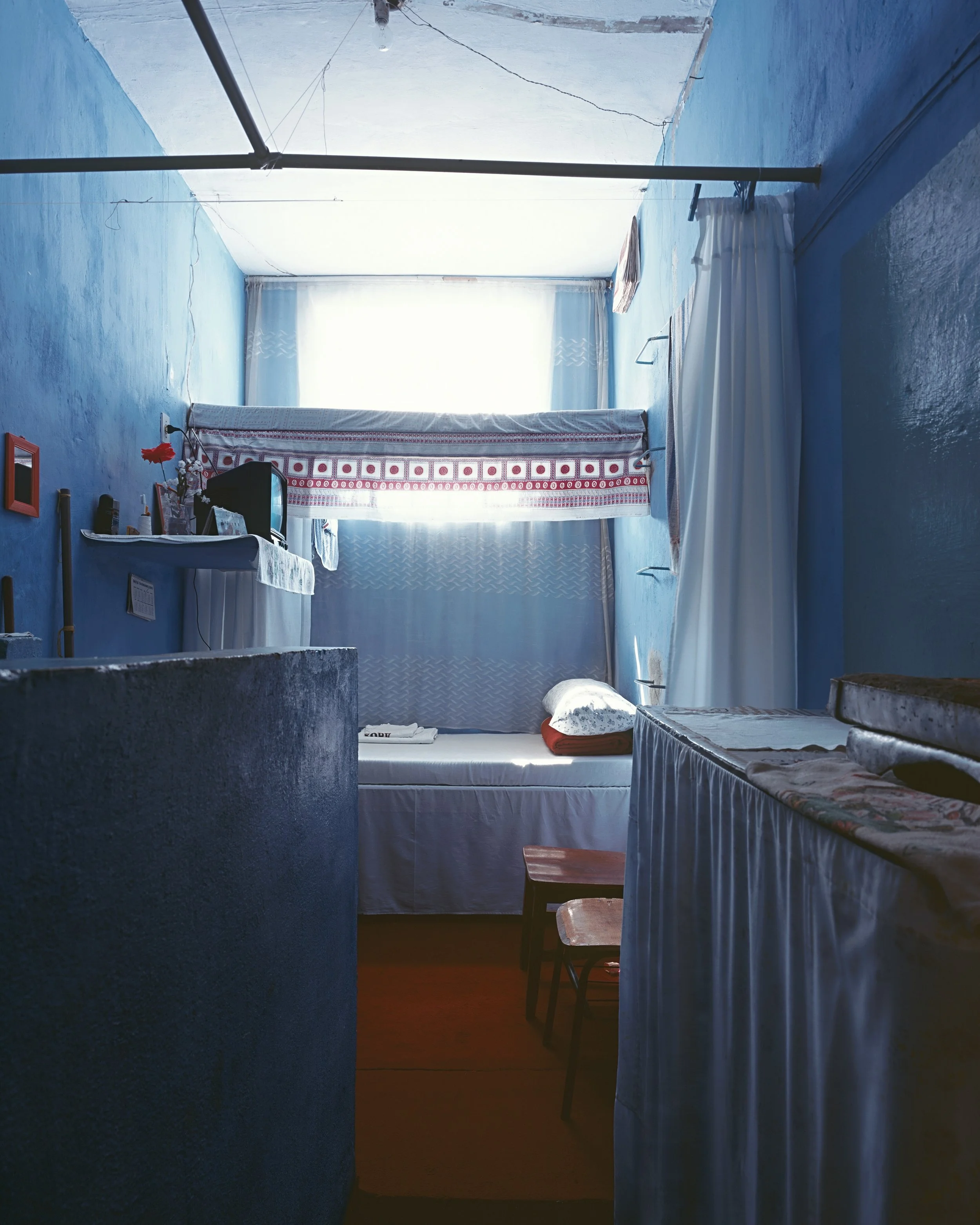 Pedro Lobo Original 1