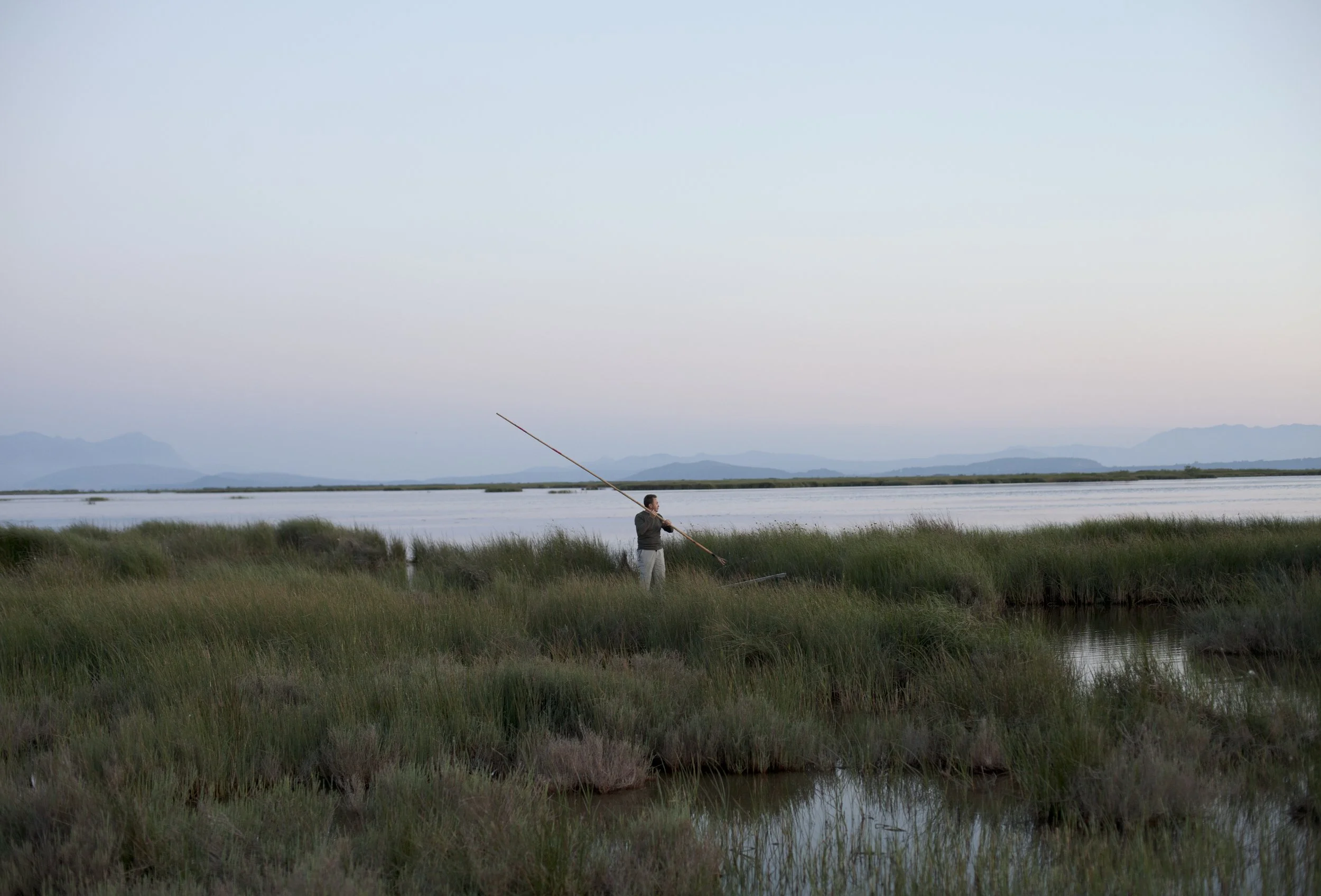 MouzakitiNew03_HEADING WEST -2016.jpg