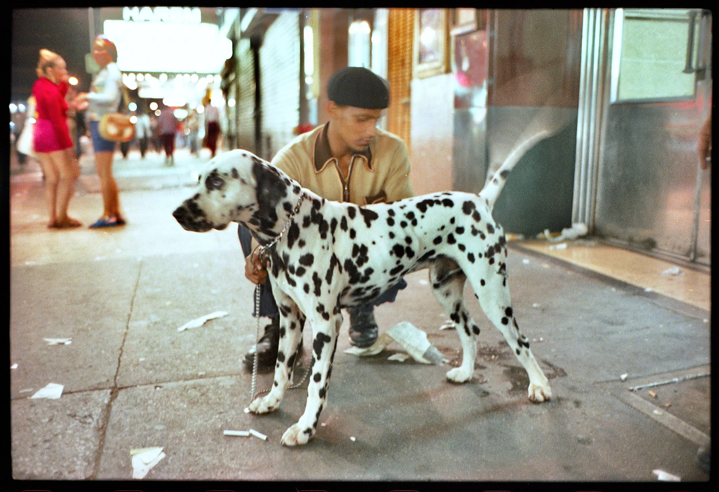 Mark Cohensend Original 2