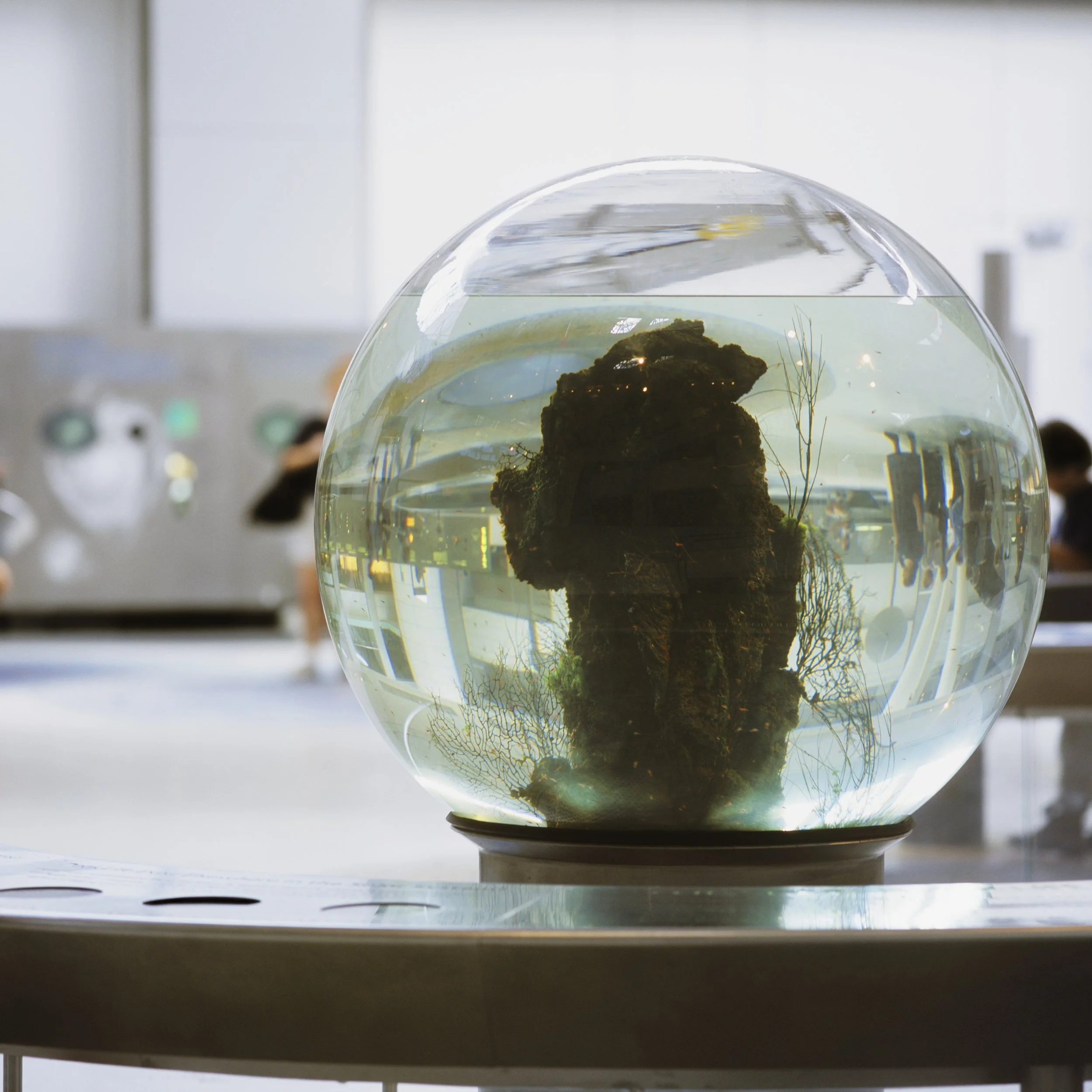 Allen Maertz Original 1