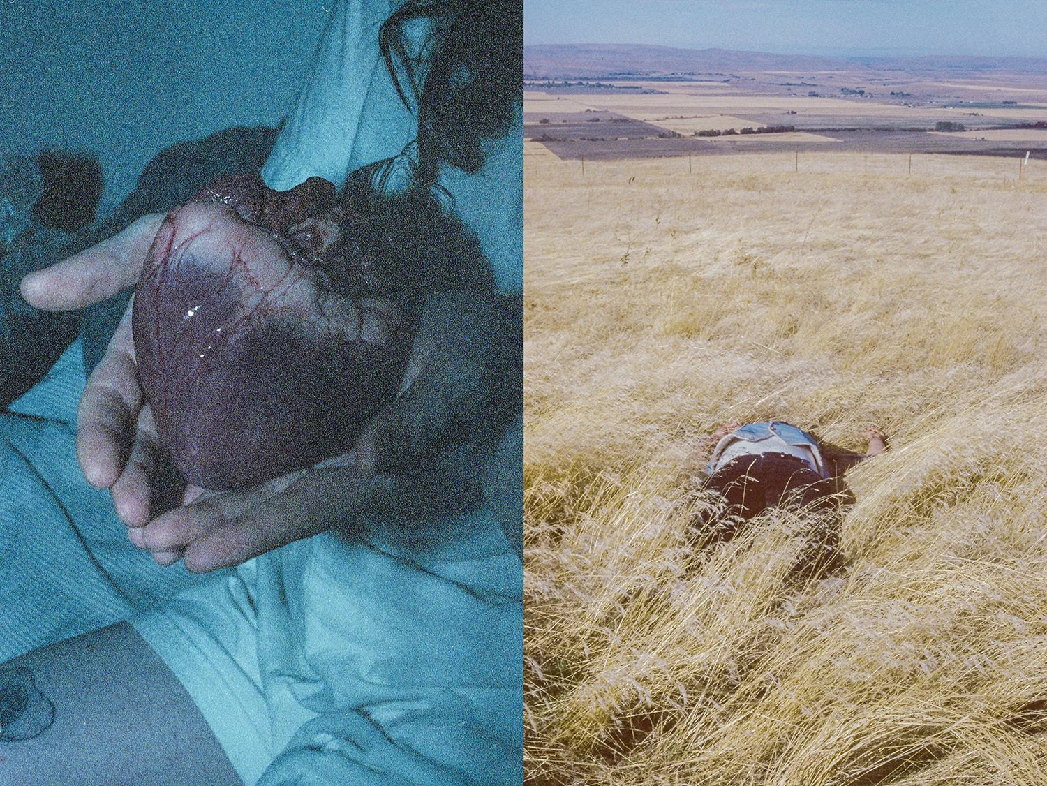 Werbalowsky, Zachary 8