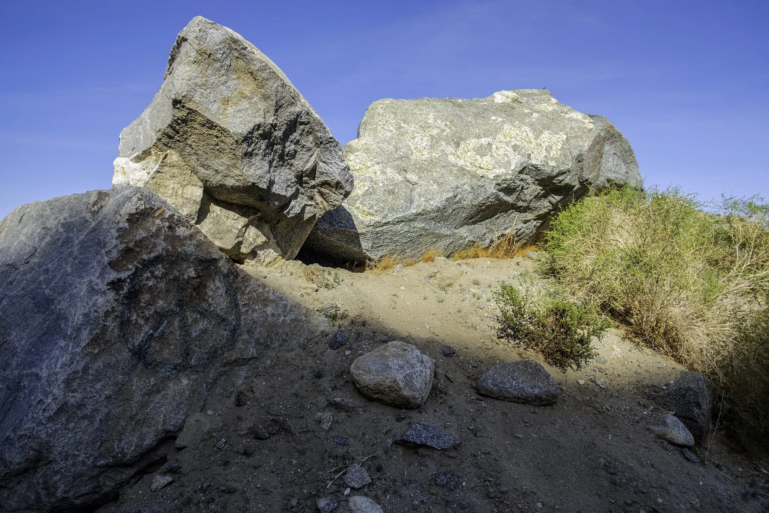 William Greiner New 2