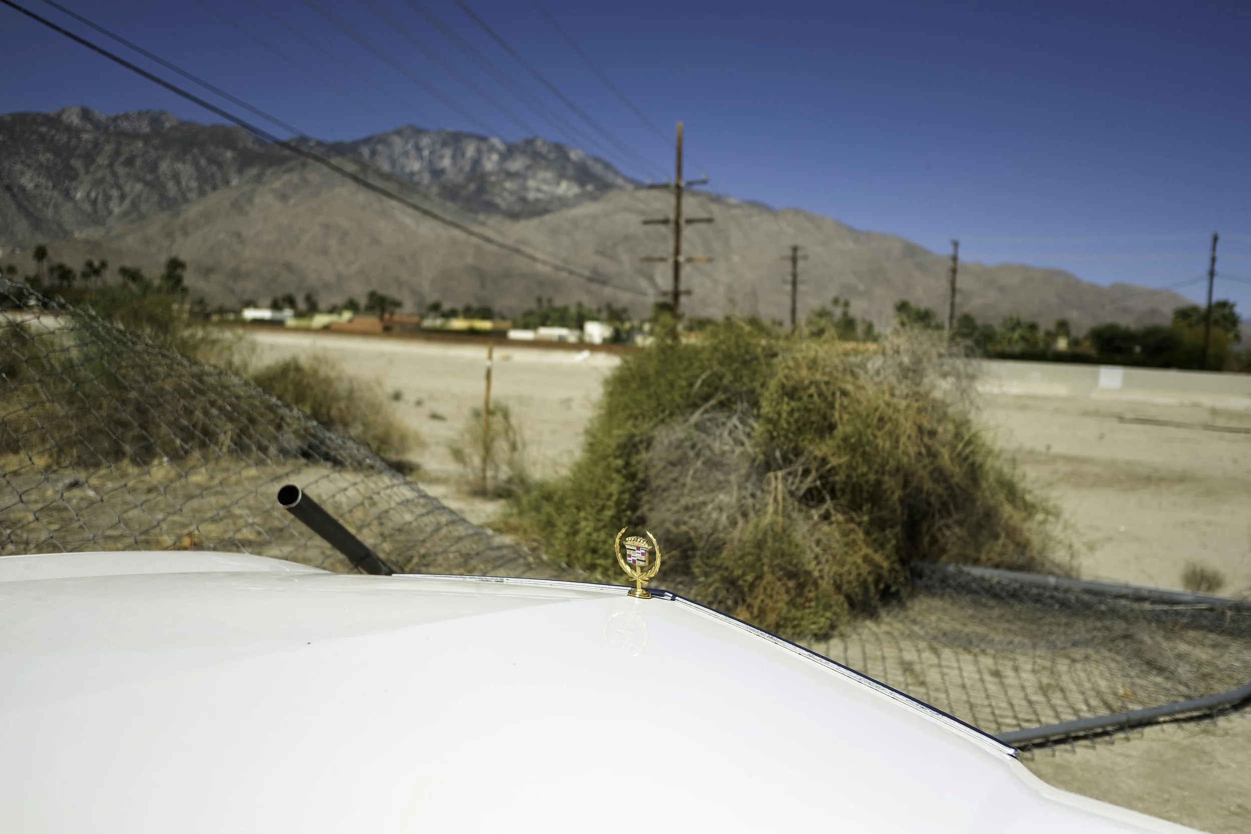 William Greiner New 1