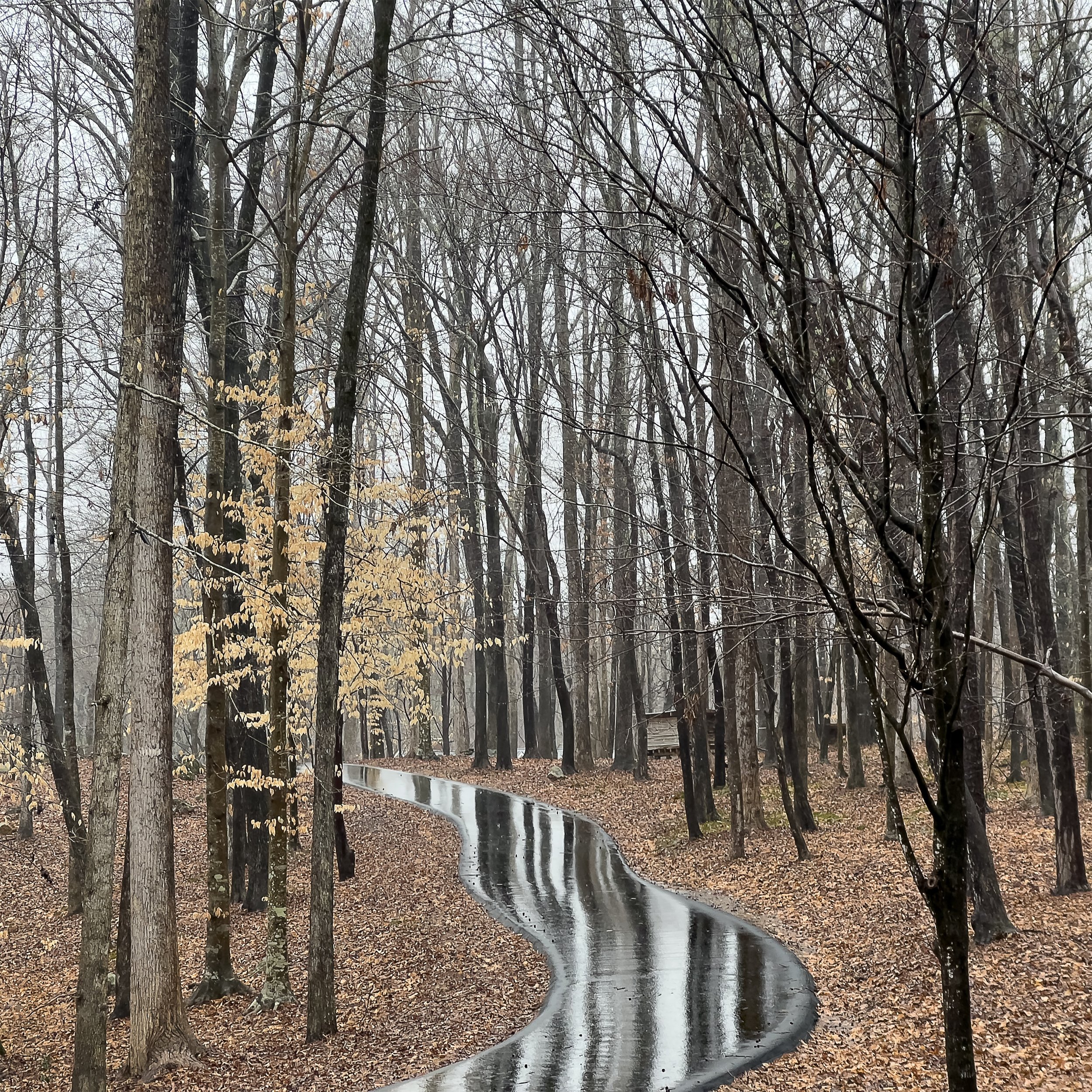 Mirror Pathway (2025).jpg