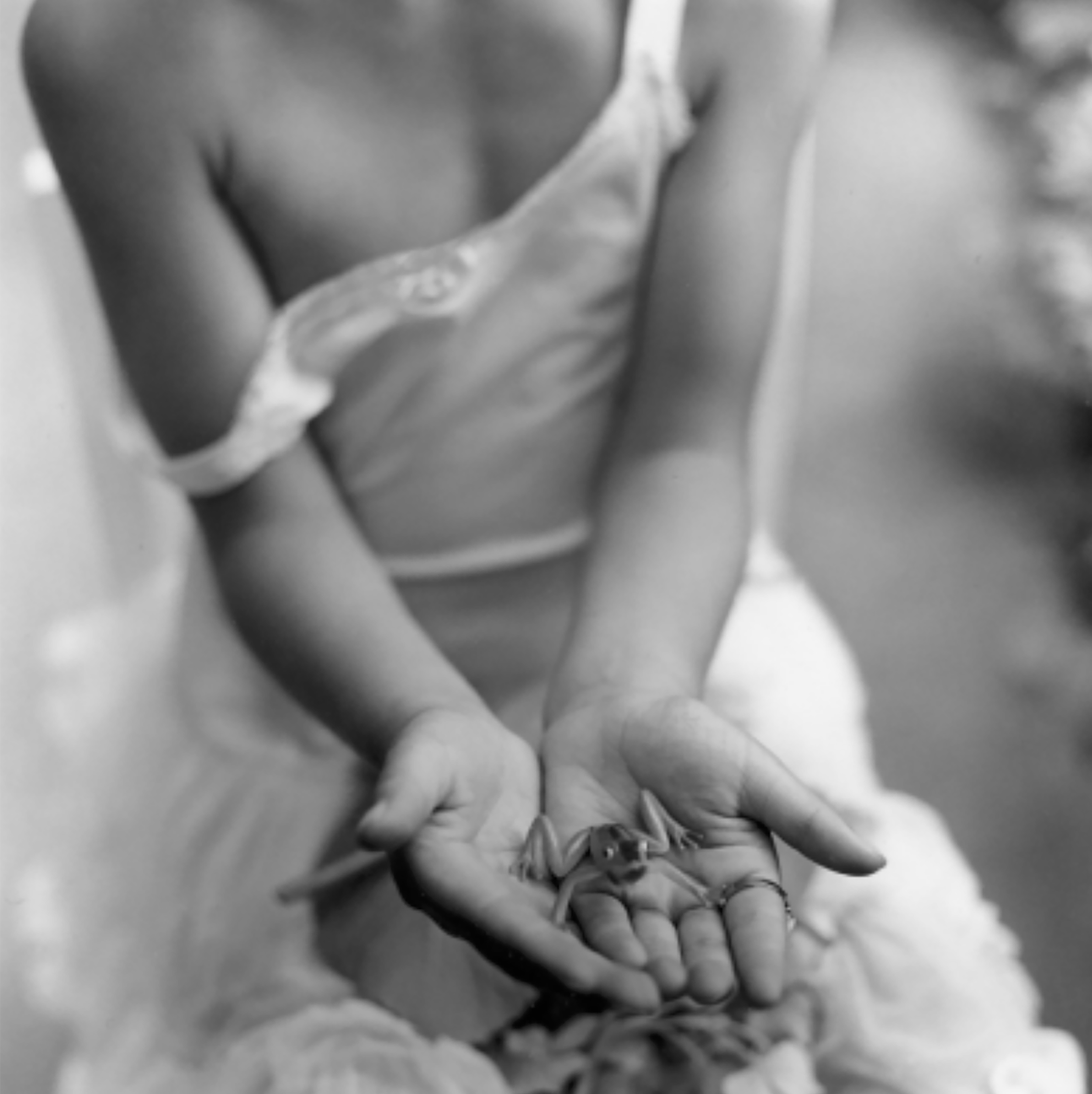 Charlee Mae Brodsky Original 5