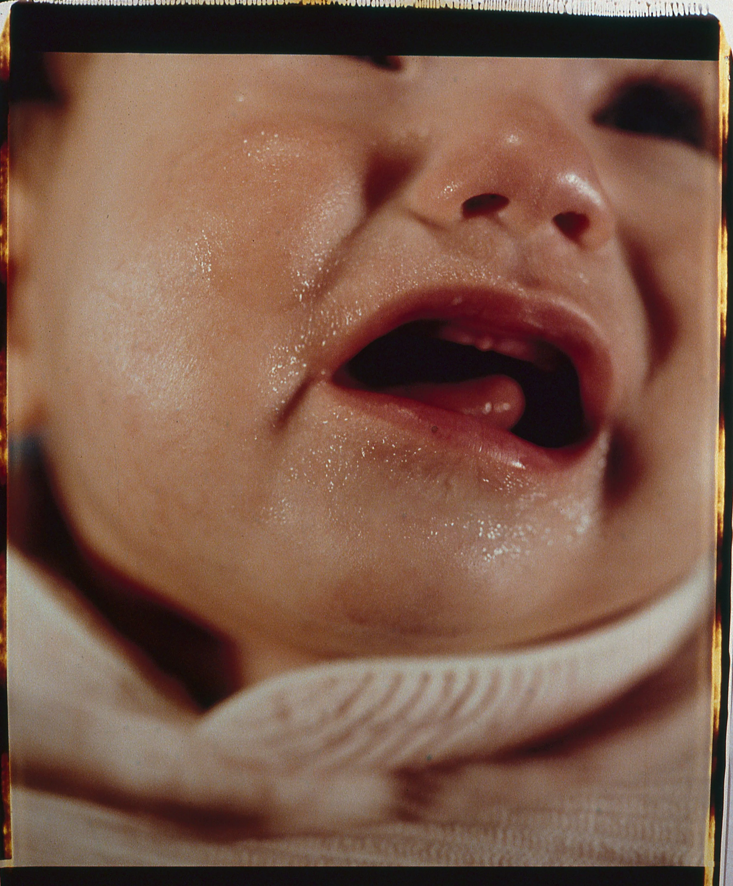 Gail Rebhan Original 2