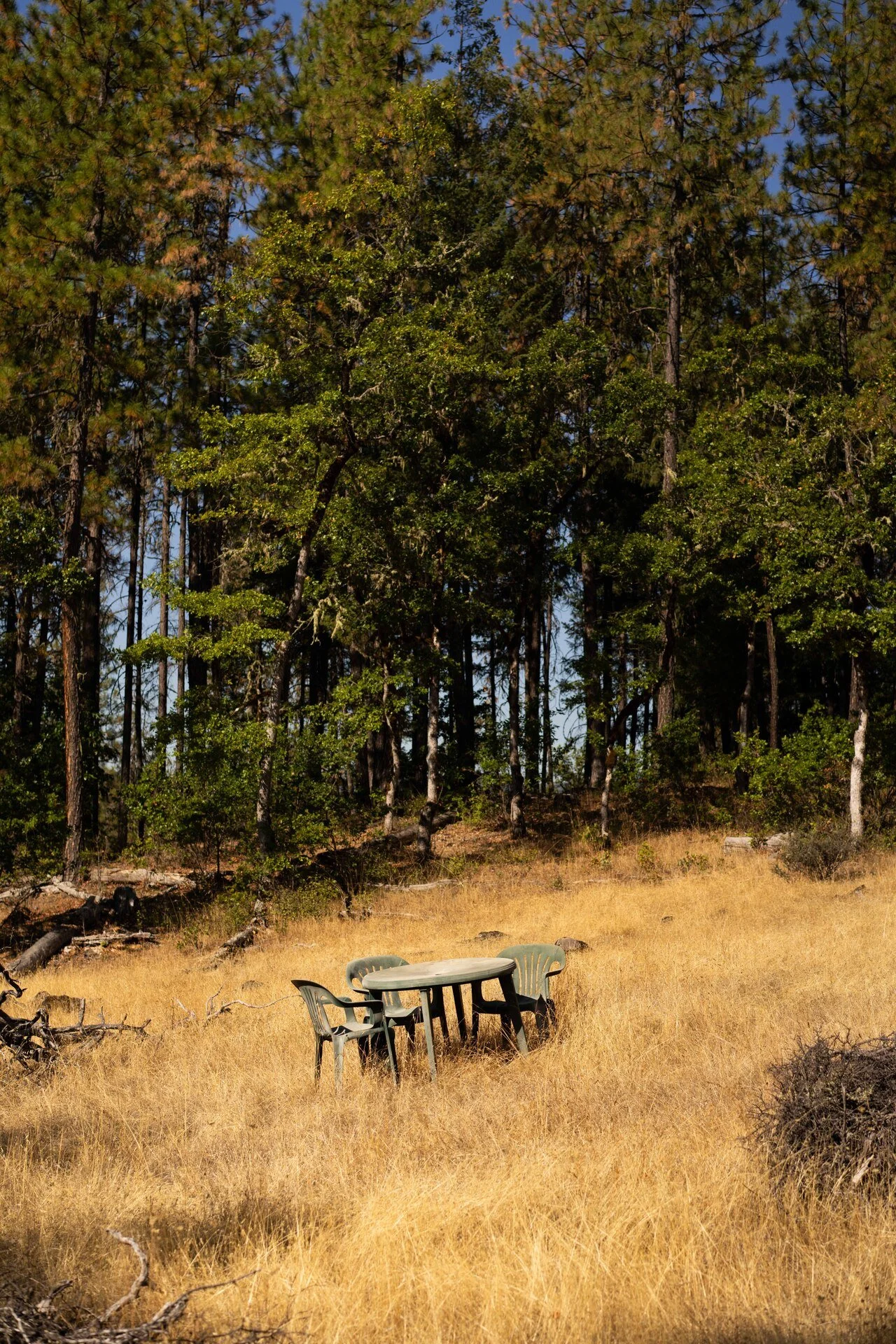 Curran, Brad 10 (PNWD 2025)