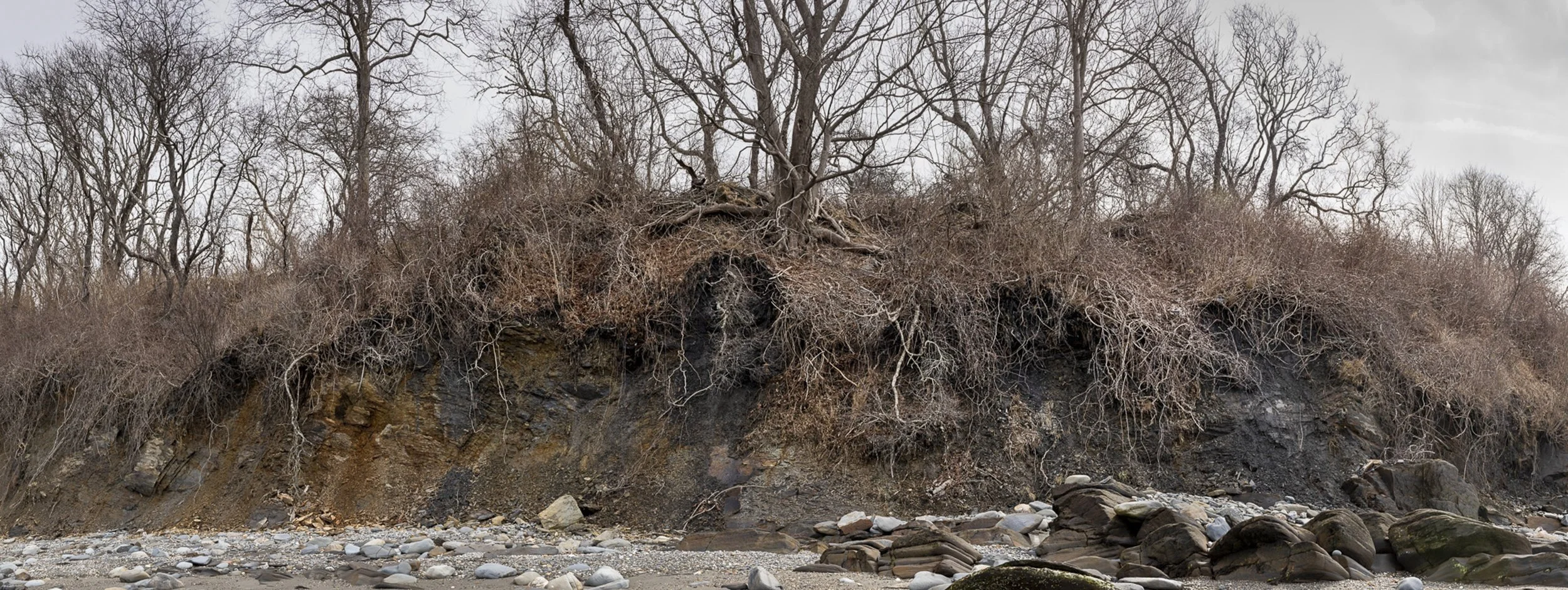 Jonathan Sharlin New 1