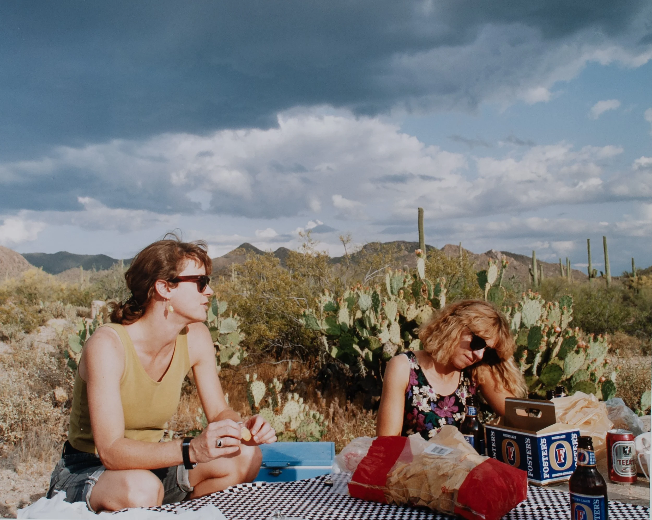 D2Capehart1995Orig03 Lucy Capehart.jpg