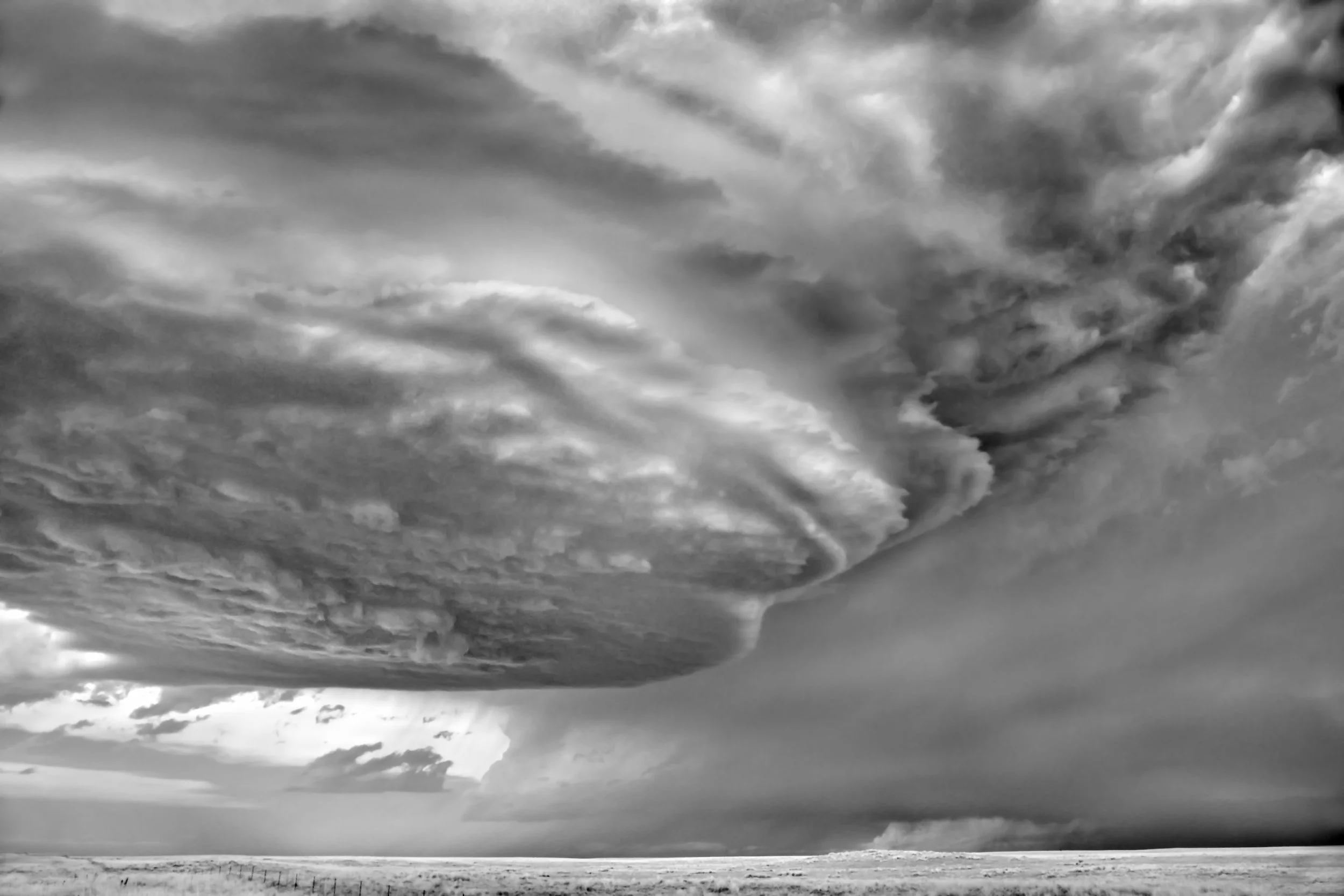D4DobrownerOrig03_Mothership MITCH DOBROWNER.jpeg