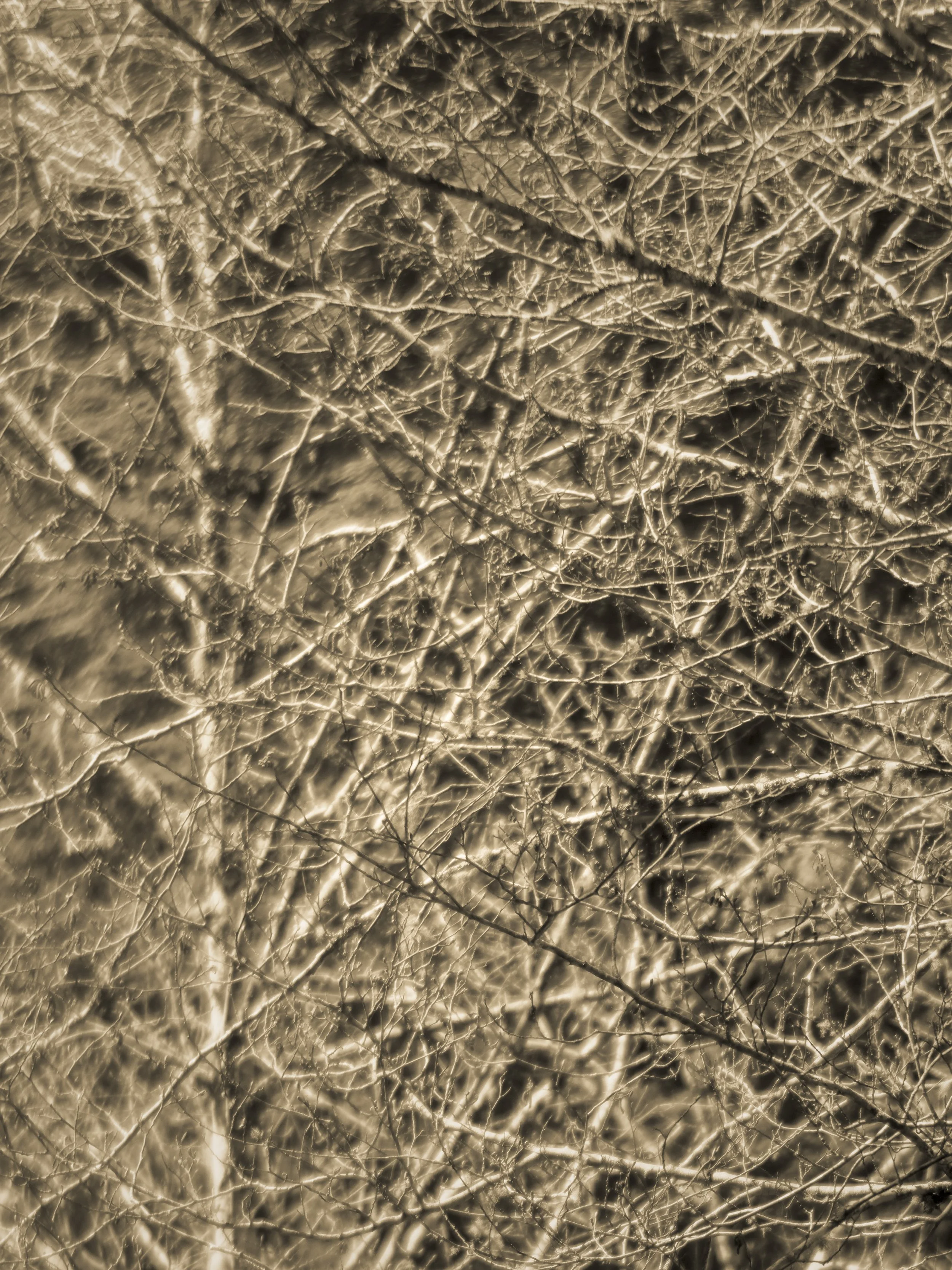 D3BairdNew02 Darryl Baird.jpg