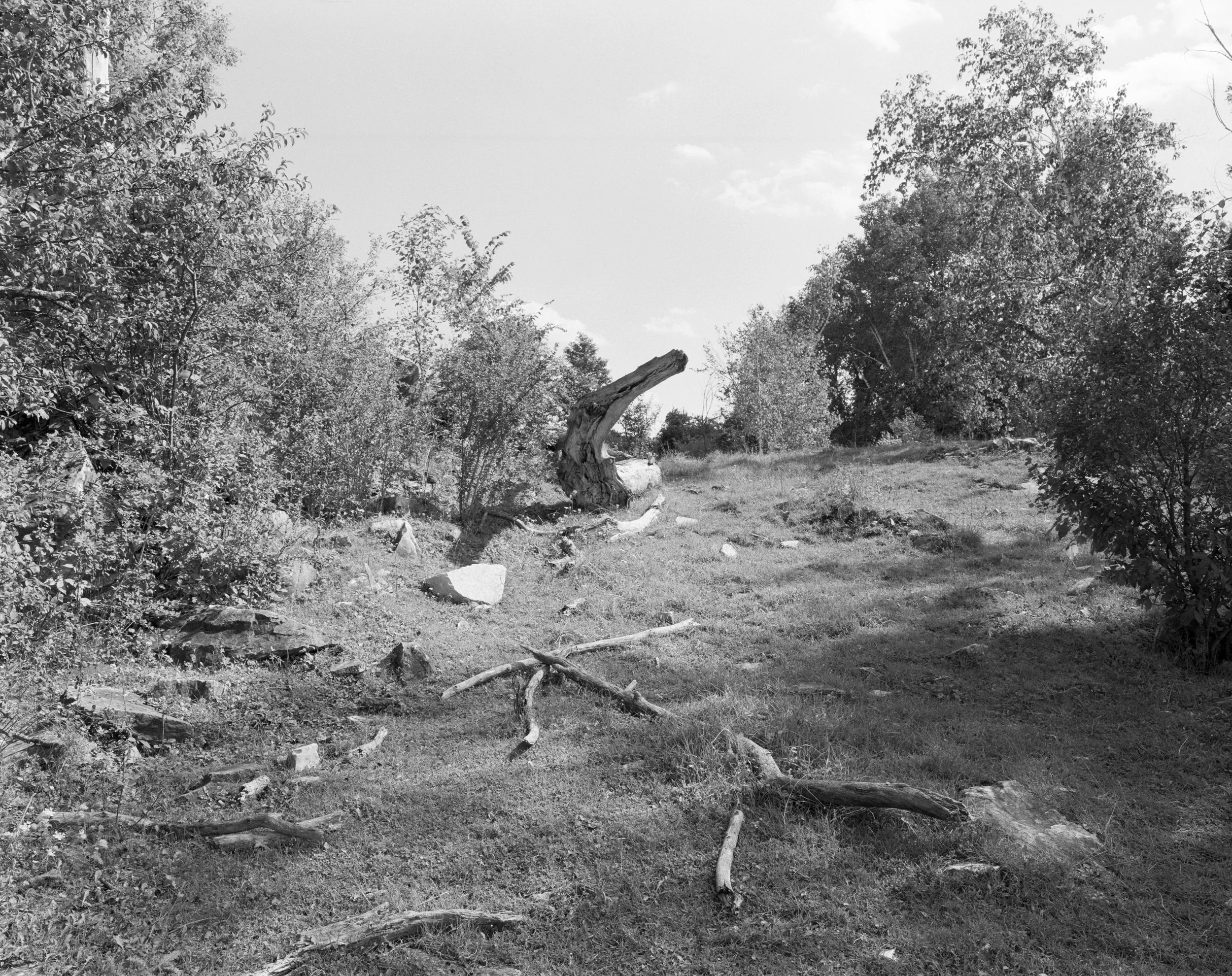 Rich Rollins Original 3