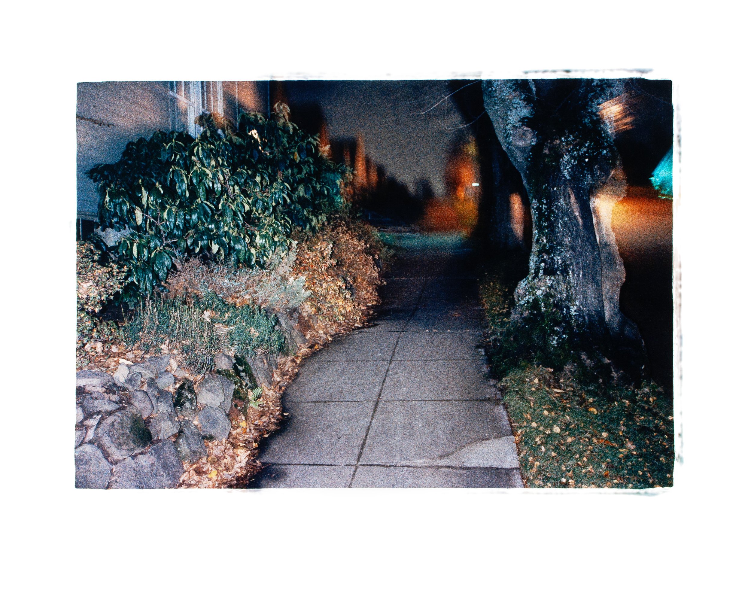 David Potter Original 1