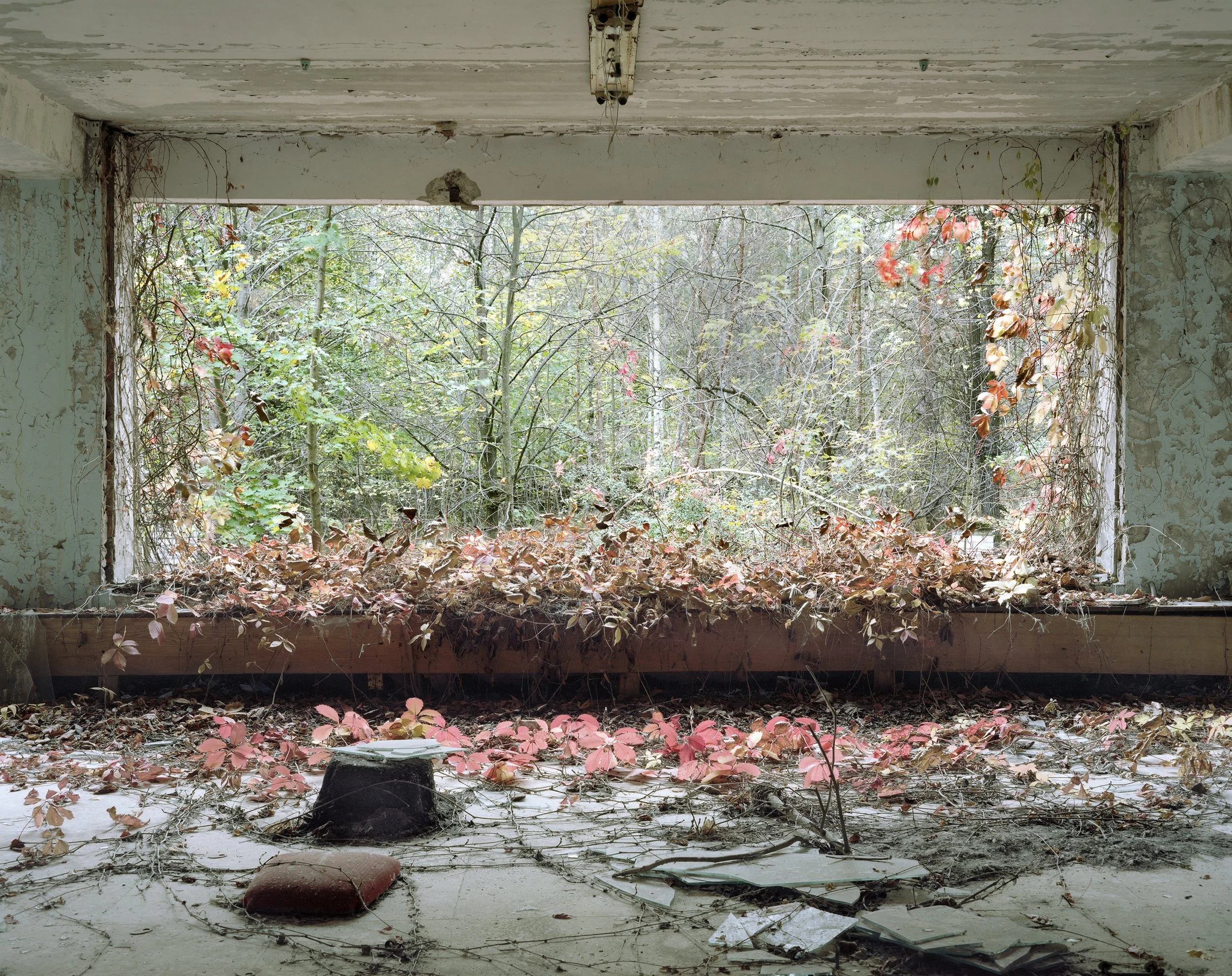 Lobby, Children's hospital. Prypiat, Ukraine 2012.jpg