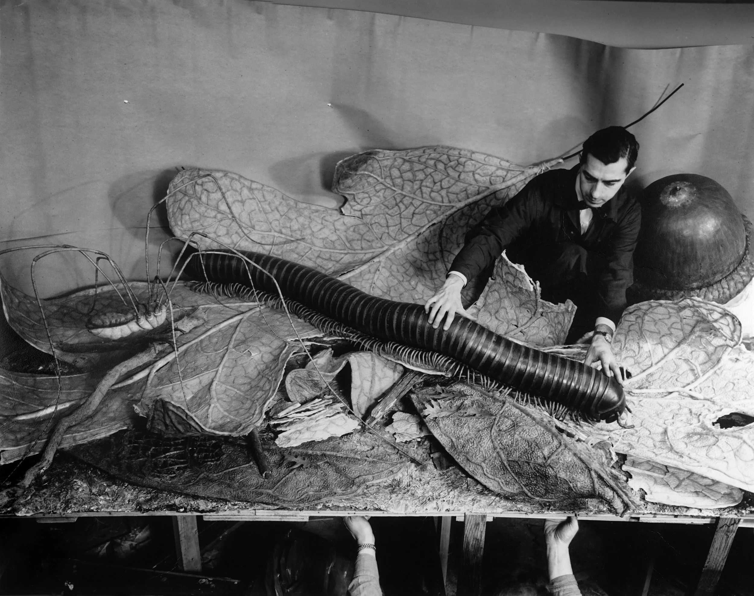 American Museum of Natural History 3