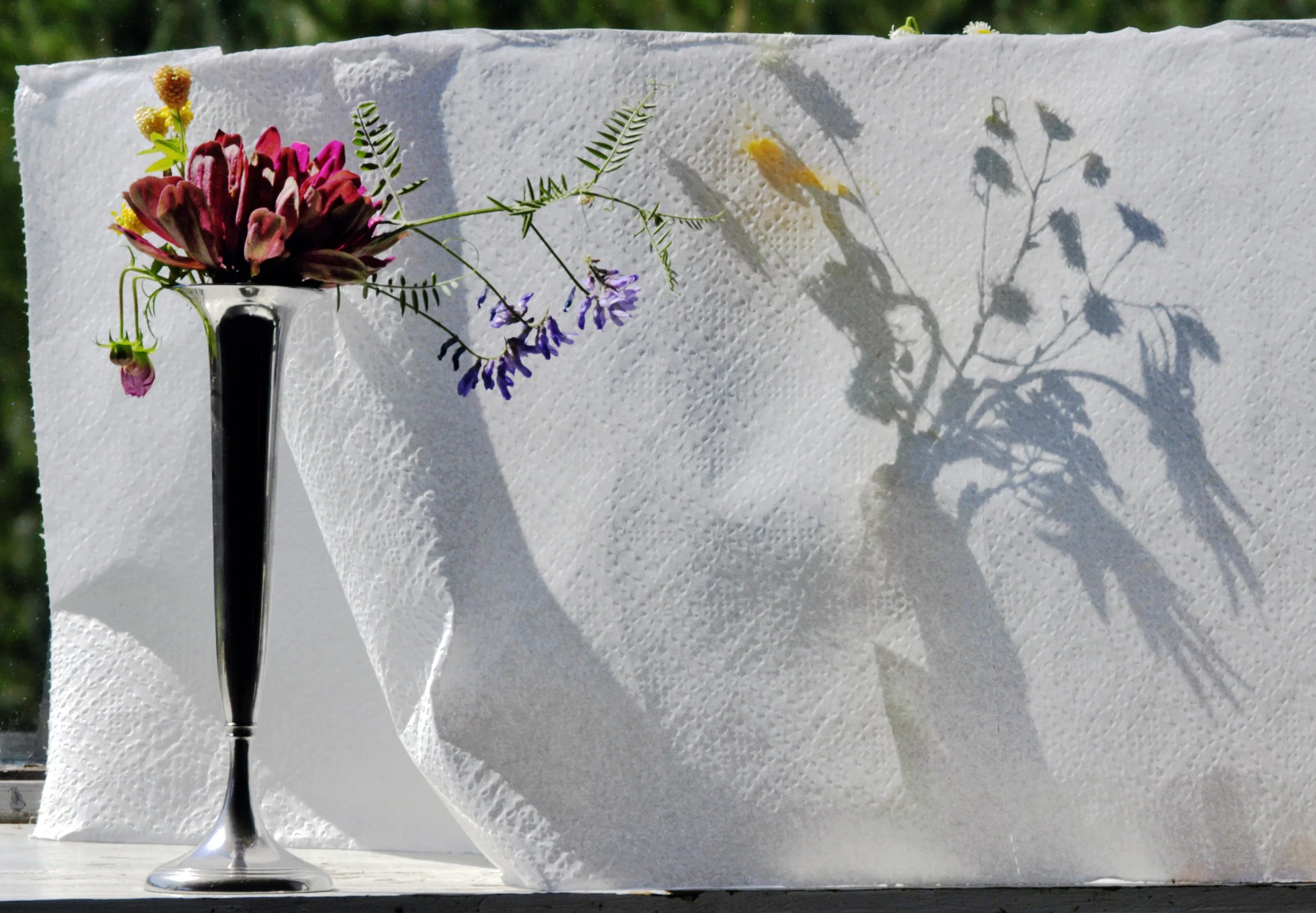 Donna Mitchell New 1