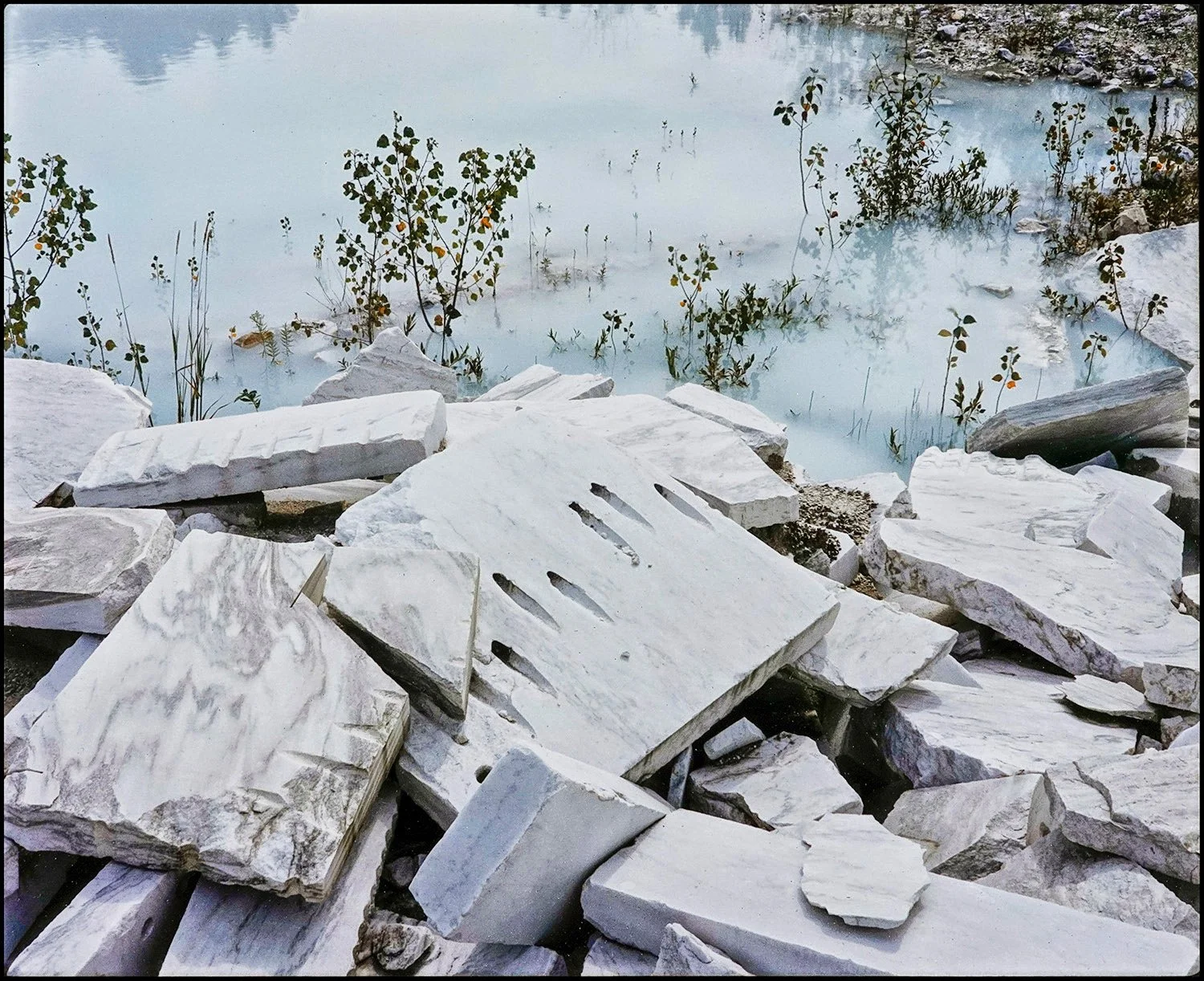 Rich Rollins Original 4