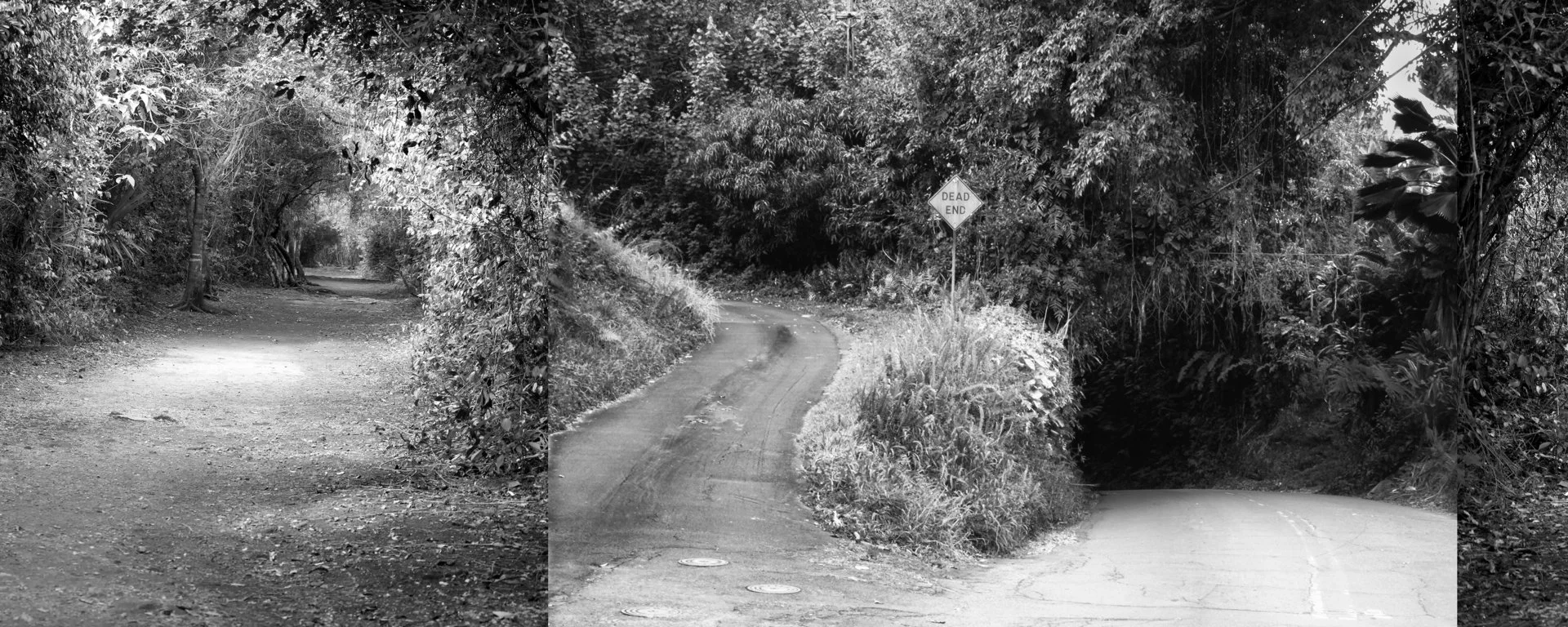 Hatch, Megan 4 (PNWD 2025)