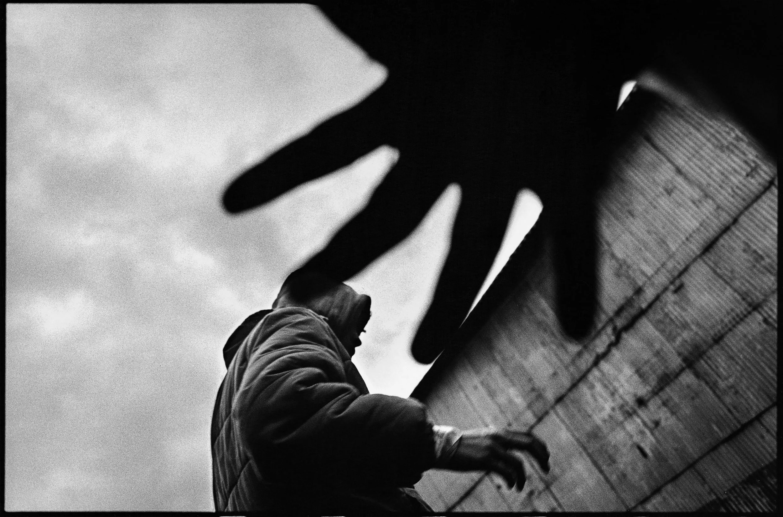 D3DiazOrig02 Gabriel Díaz.jpg