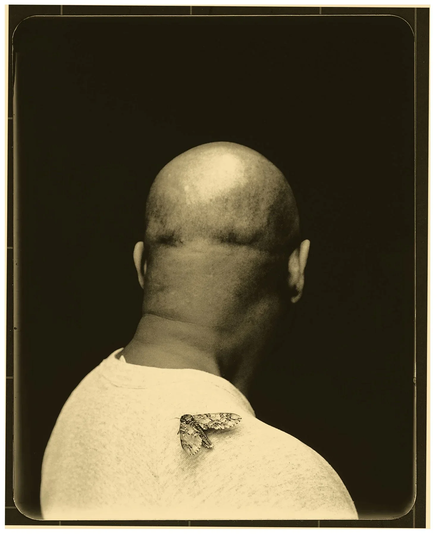 D3 Luster orig04 One-Big-Self-02.jpg copy.jpg