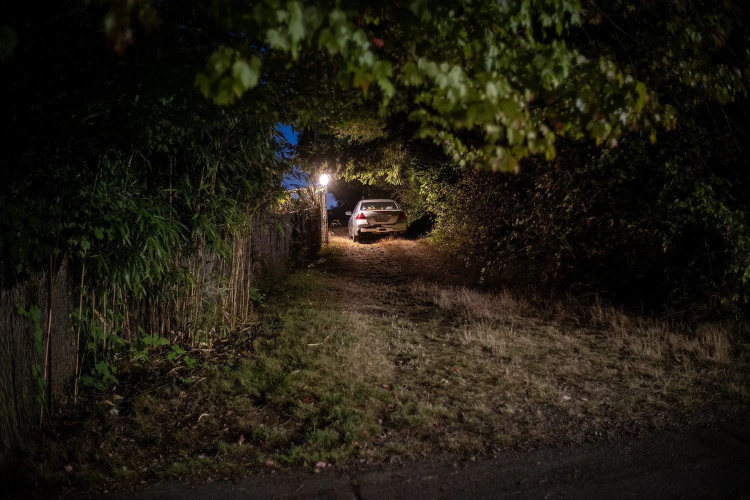 1980DanKapsner2025_2 Dan Kapsner.jpg