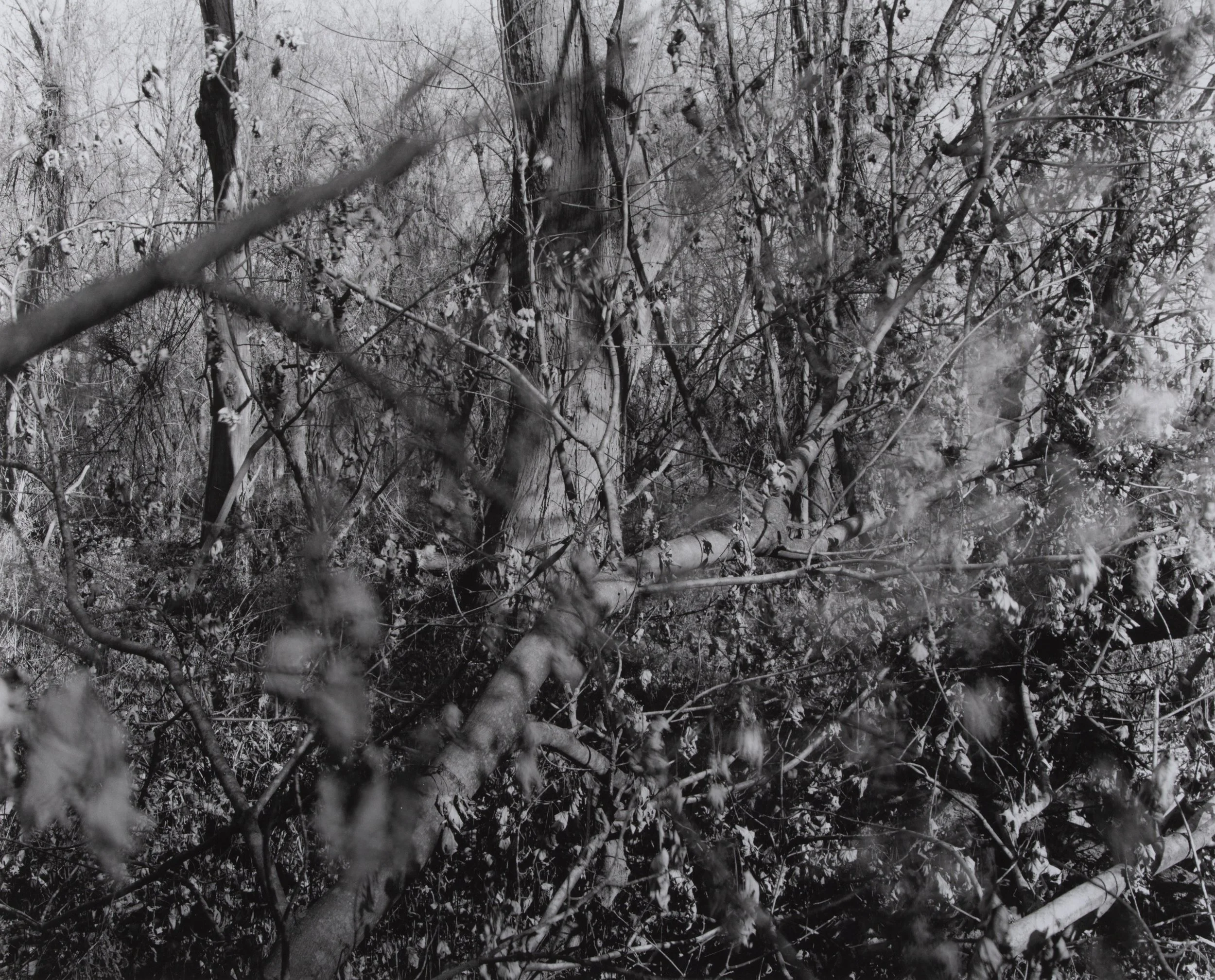 D3ColtenOrig03 Jennifer Colten.jpg