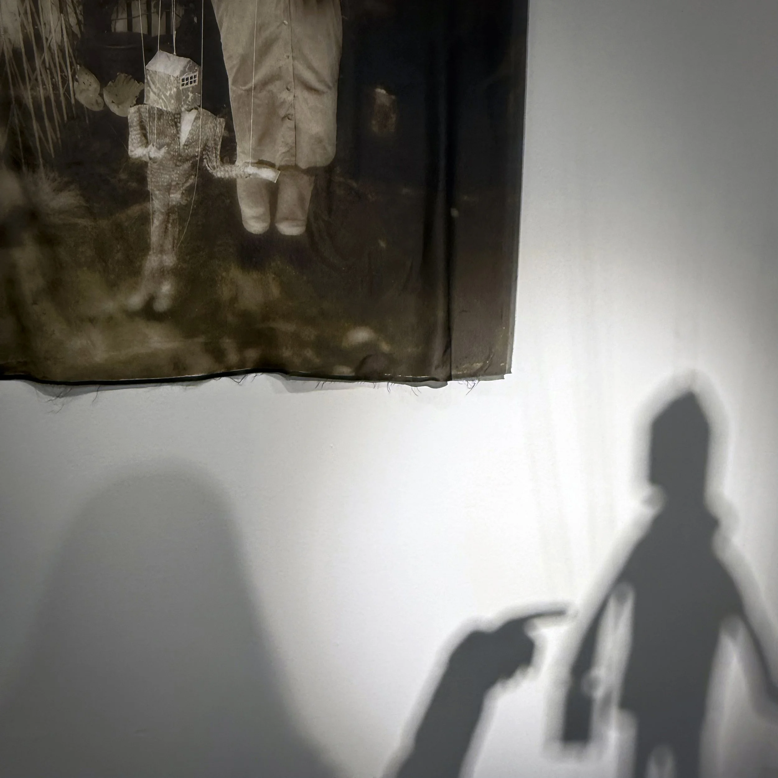 D3StevensNew01 Jane Alden Stevens.jpg