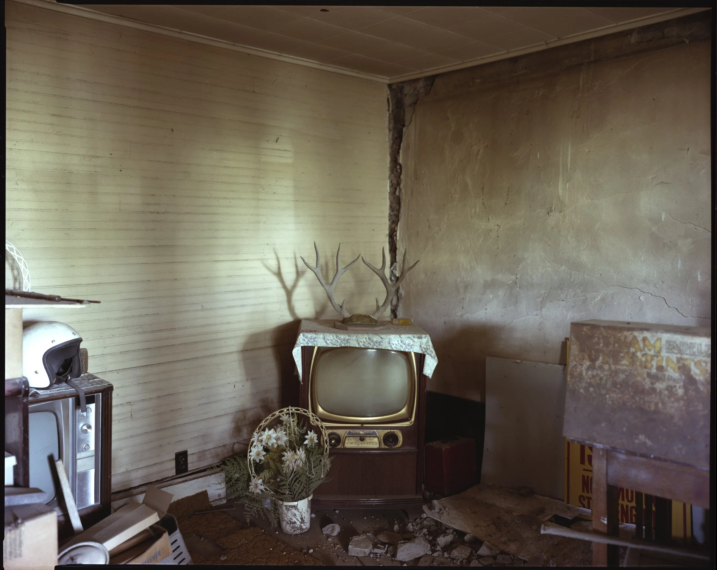 Steve Fitch Original 2