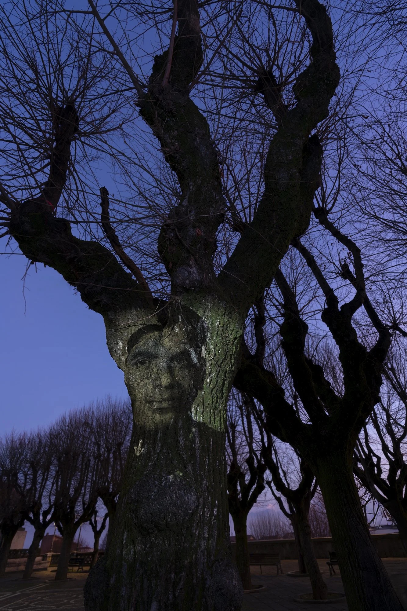 D3AnnuNew05_6420 Annu Palakunnathu Matthew.jpg