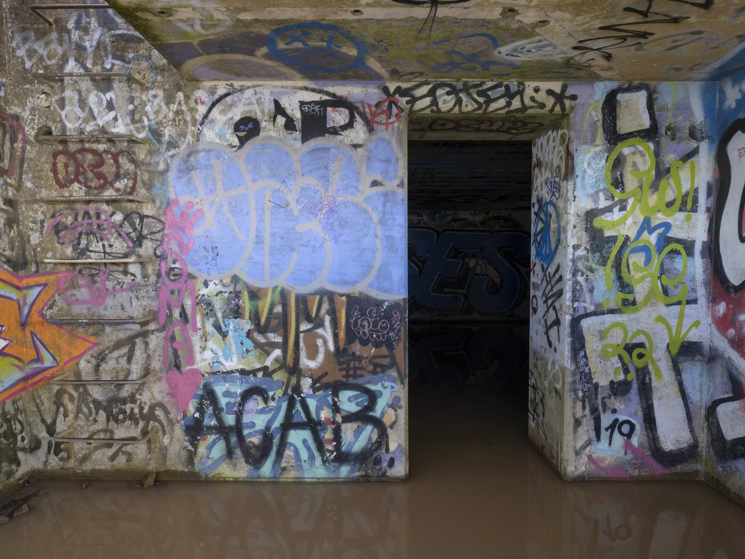 FradkinNew3 - Bunkers_AFradkin_2022.jpg