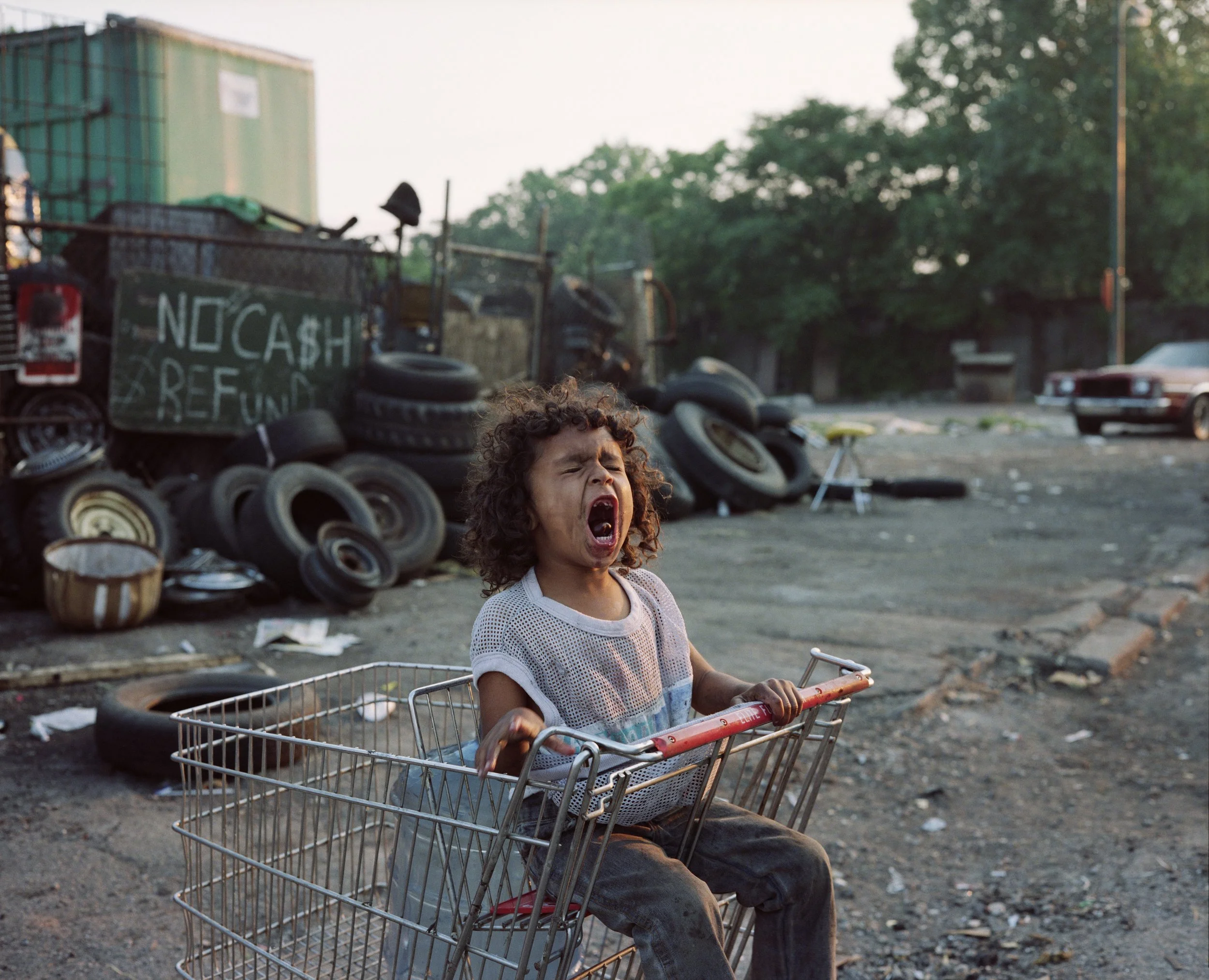 D'AmatoD2Orig02_Girl In Shopping Cart.jpg