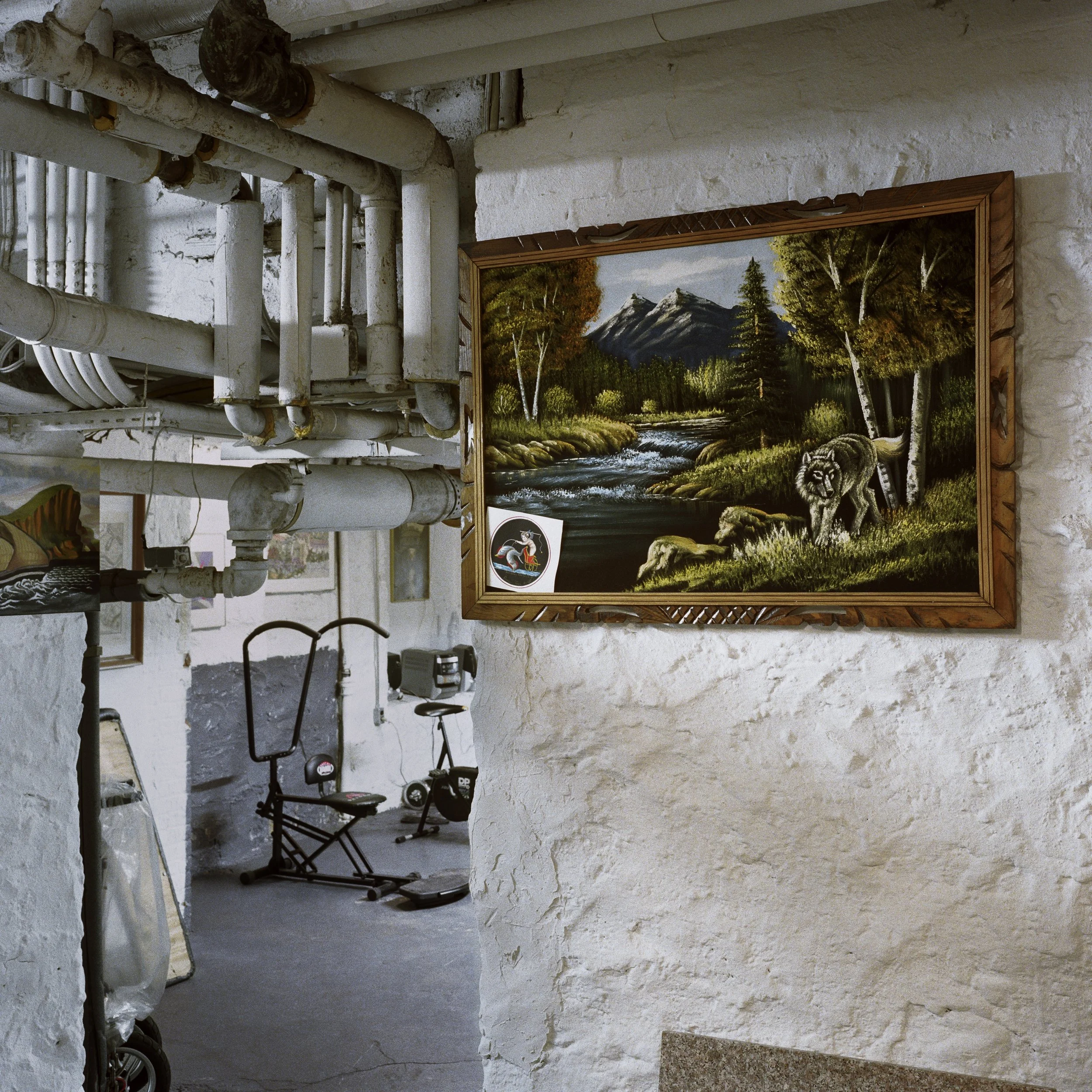 WuerfulOrig01GW_untitled 3 (gym).jpeg