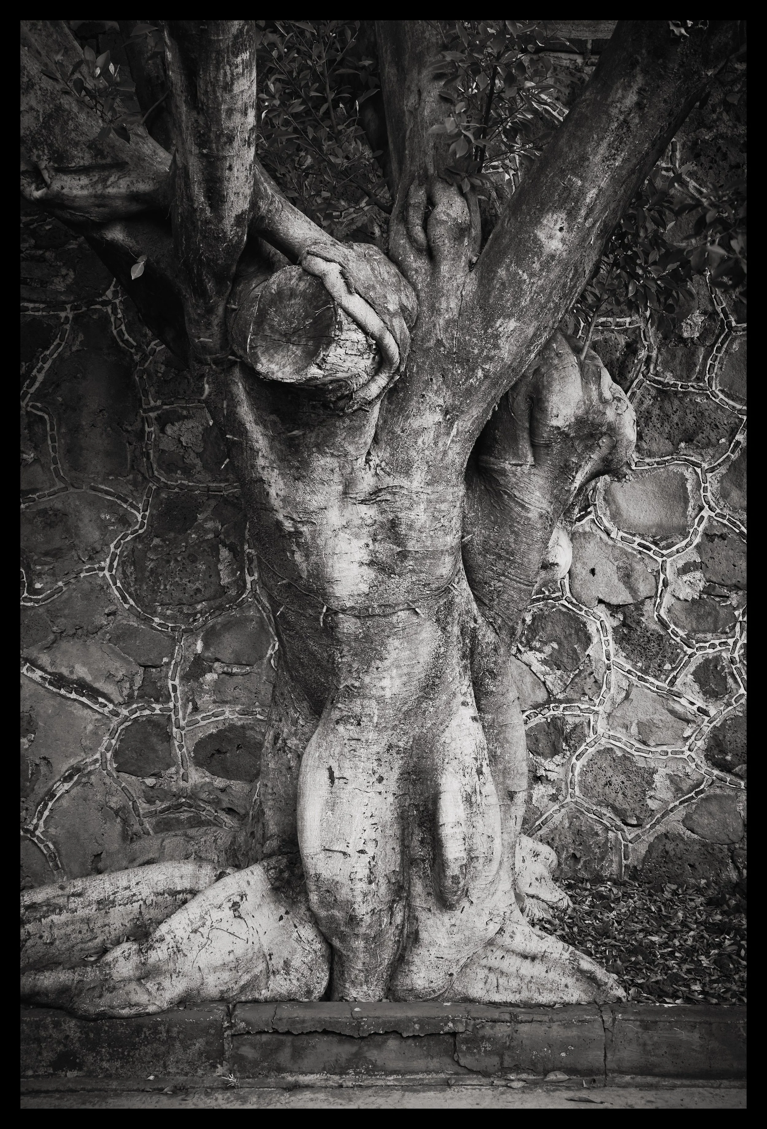 Rafael Goldchain New 2