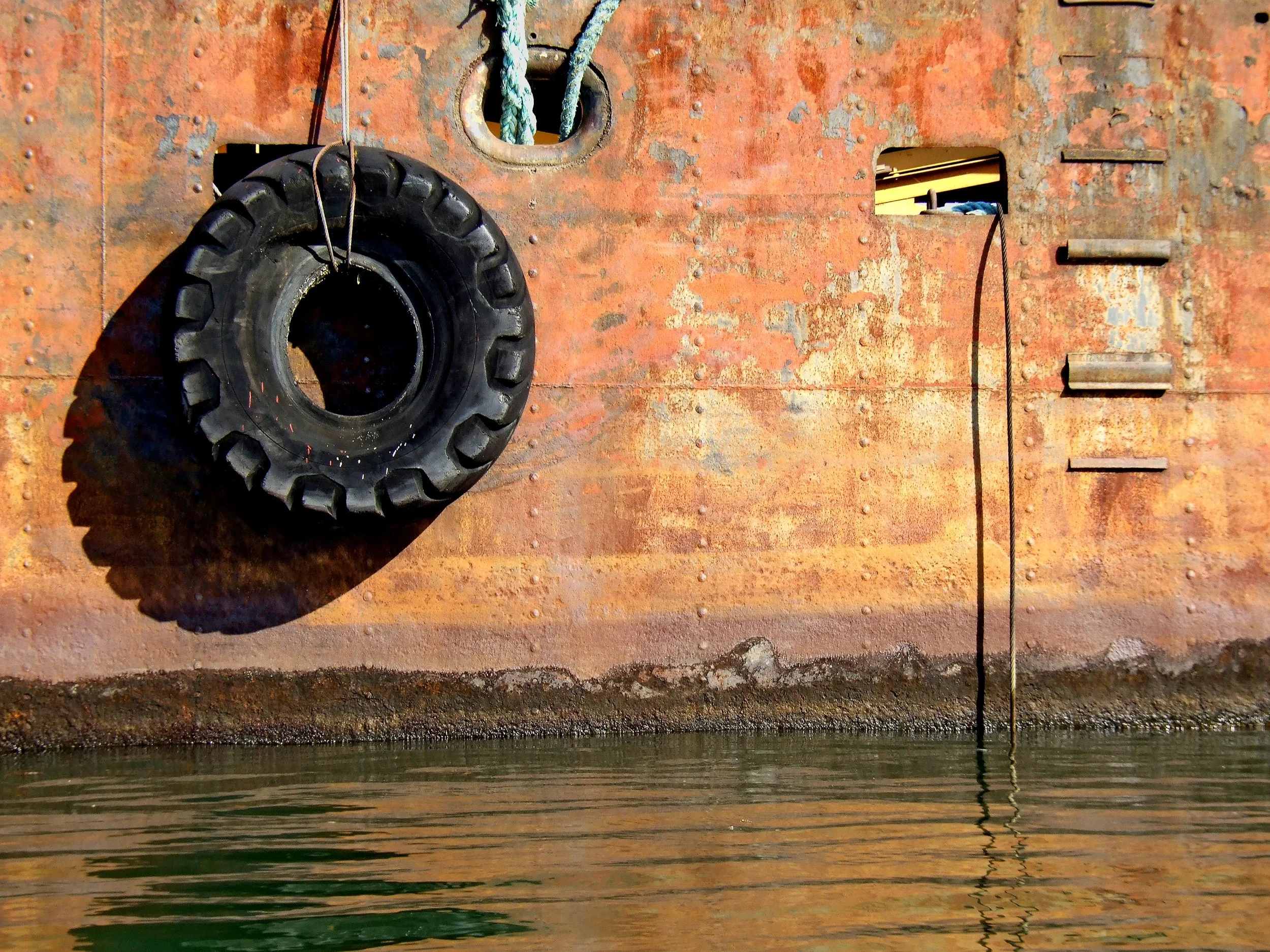 William Washburn New 1