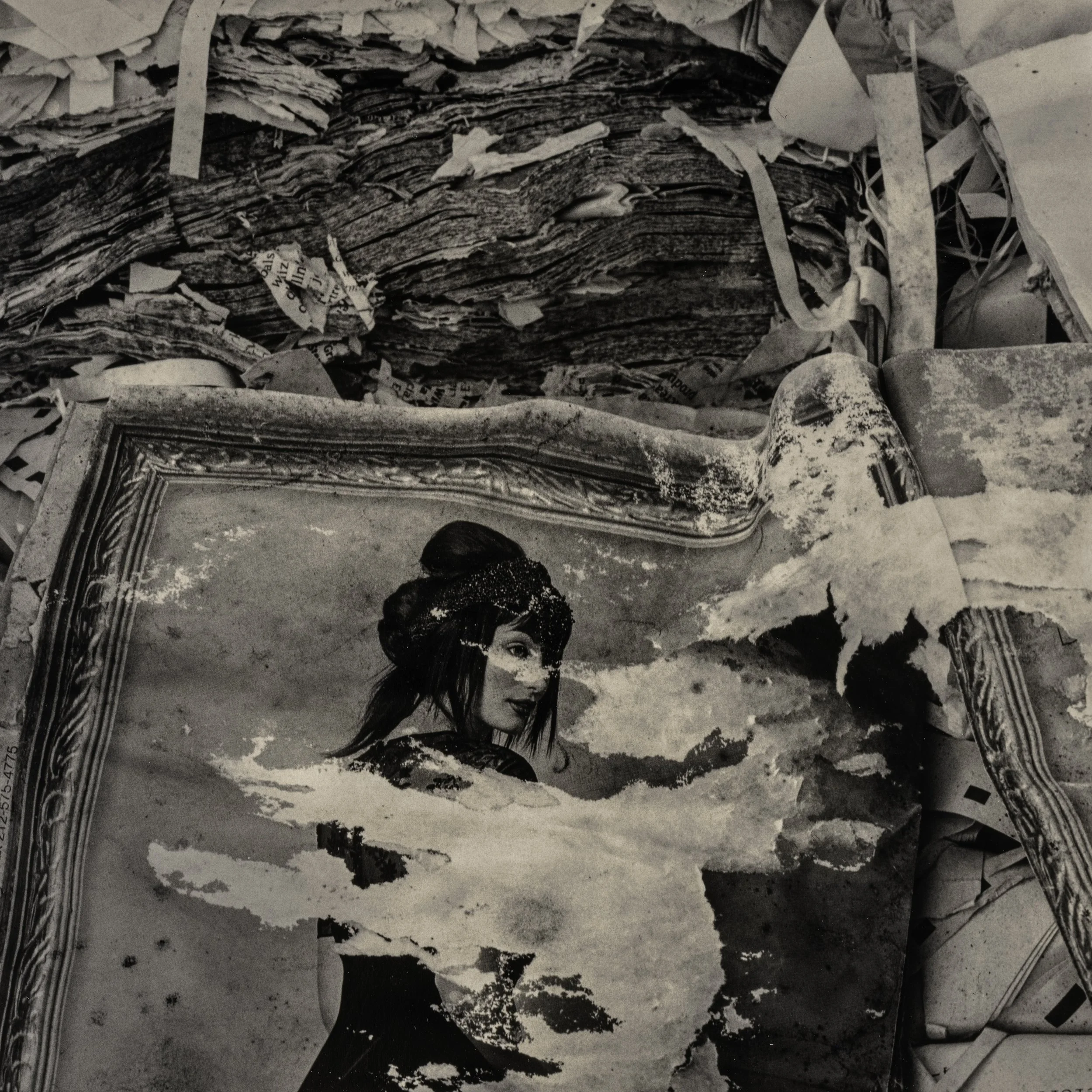 D3JohnWillisOrig02 John Willis.jpg