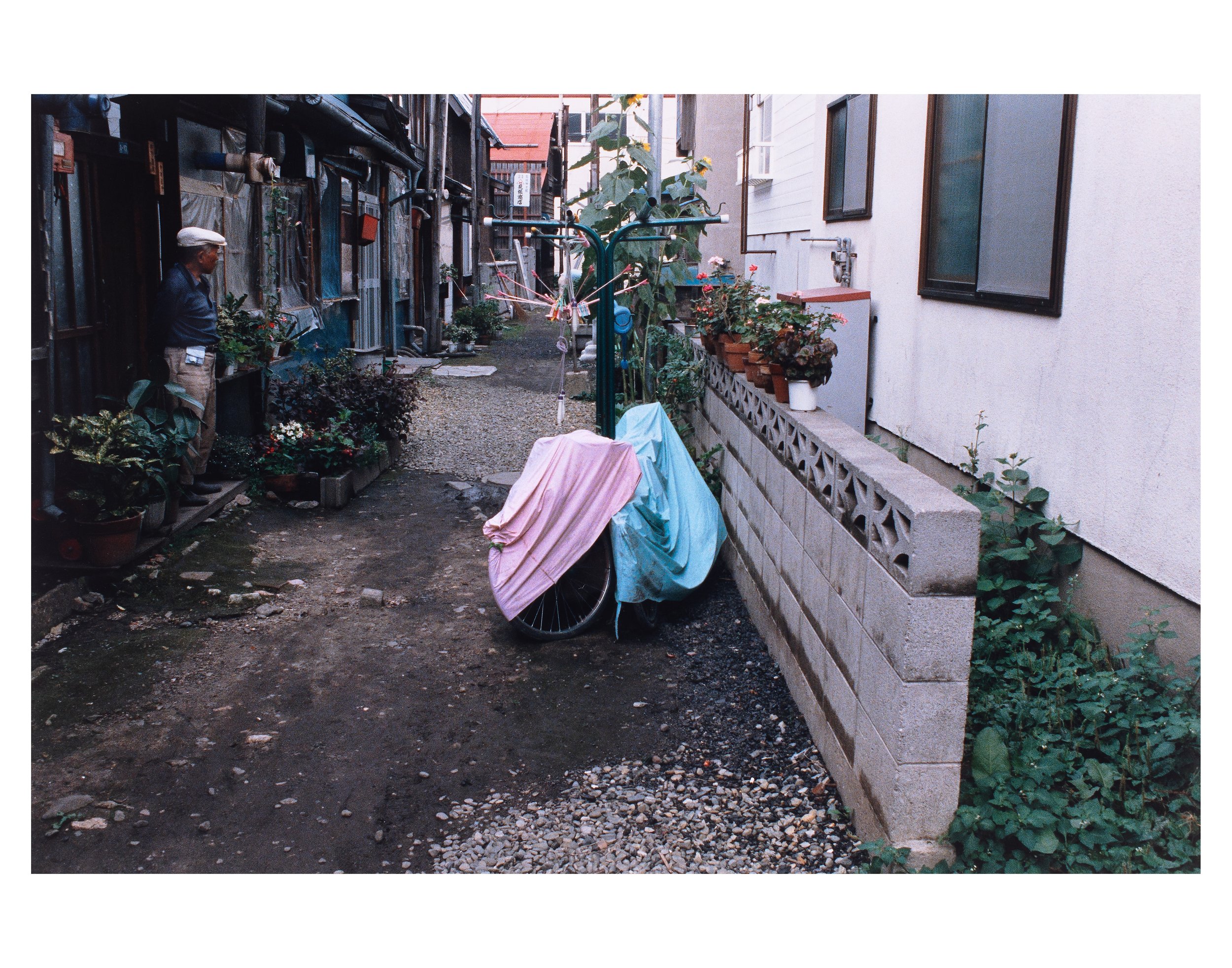 David Potter Original 4