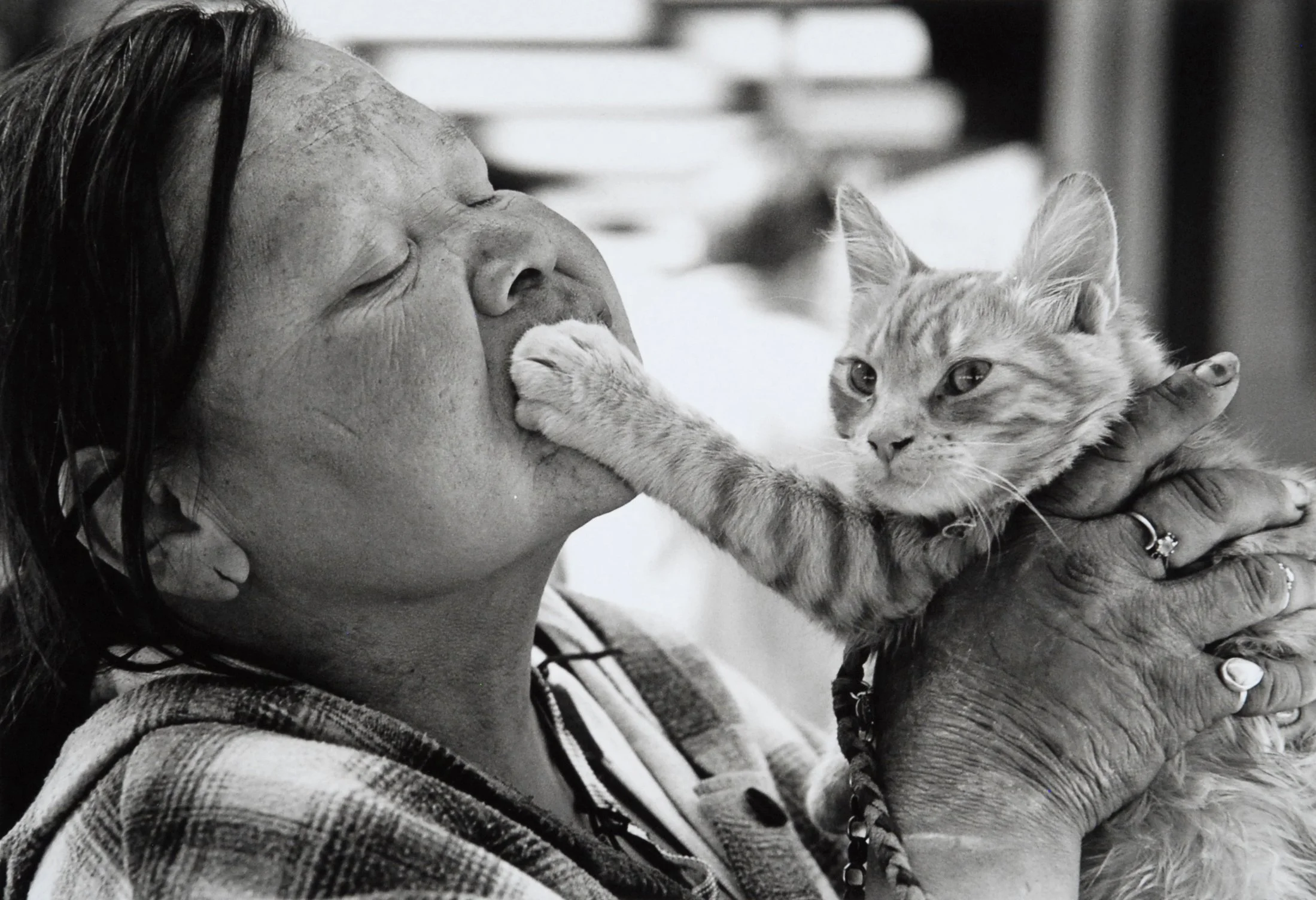 D3 Edis Jurcys Orig 02.JPG