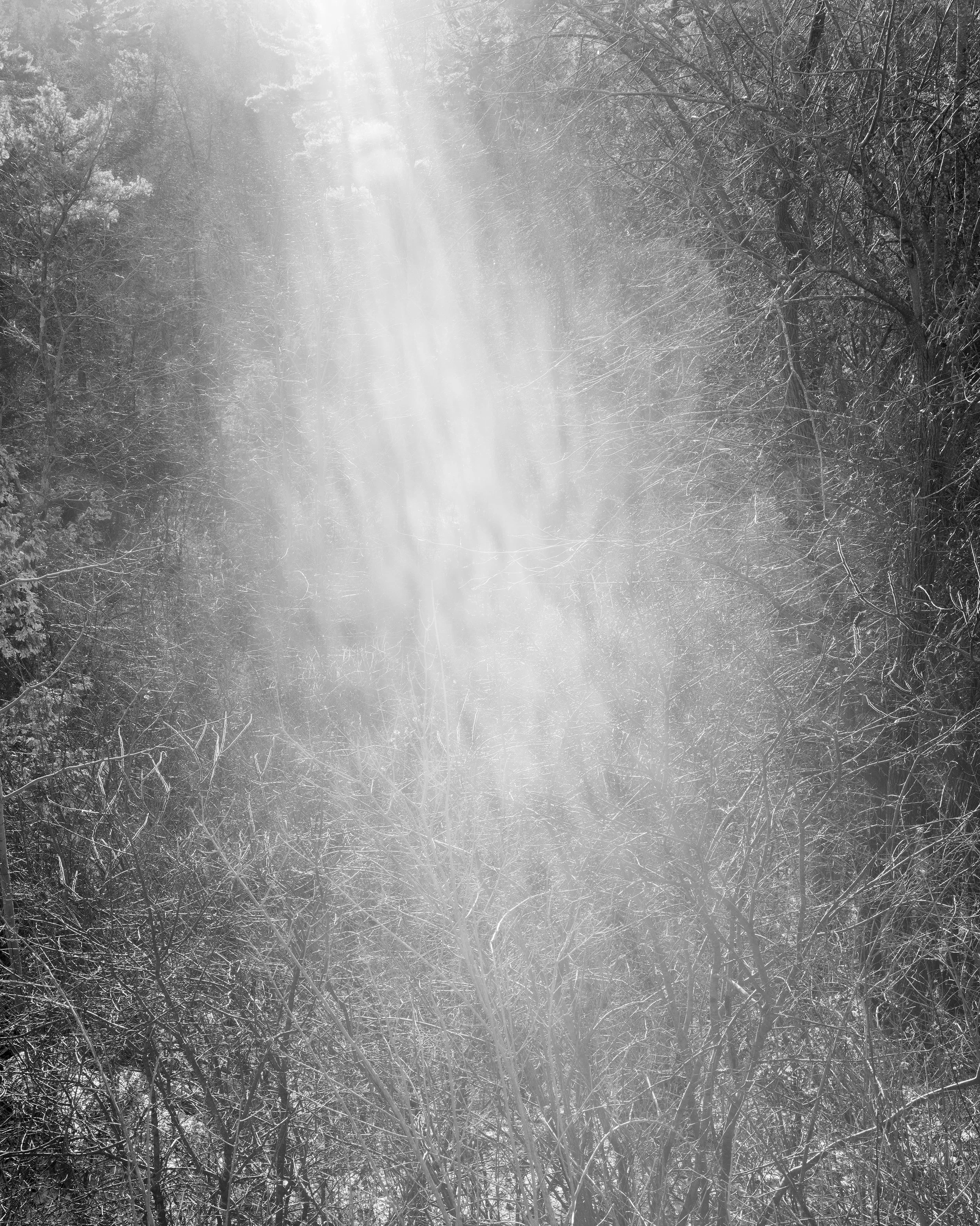 D3 McDowell New 02 December 22 Bill McDowell.jpg