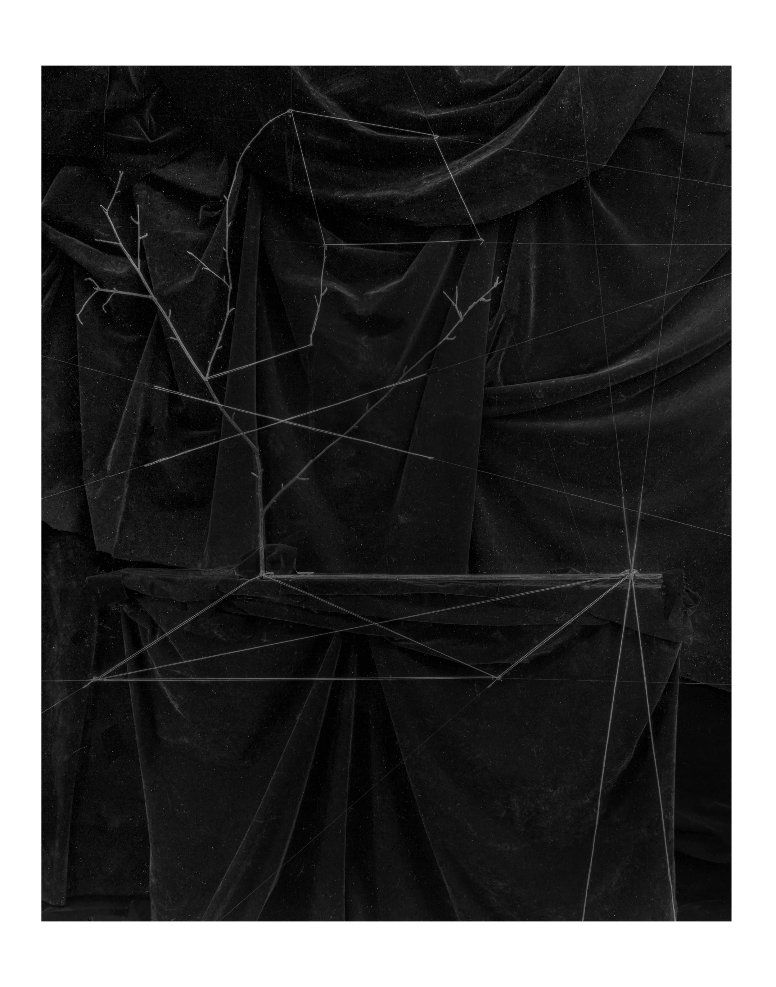 Zeke Berman  © - Canceled Branch 1992 copy.jpg
