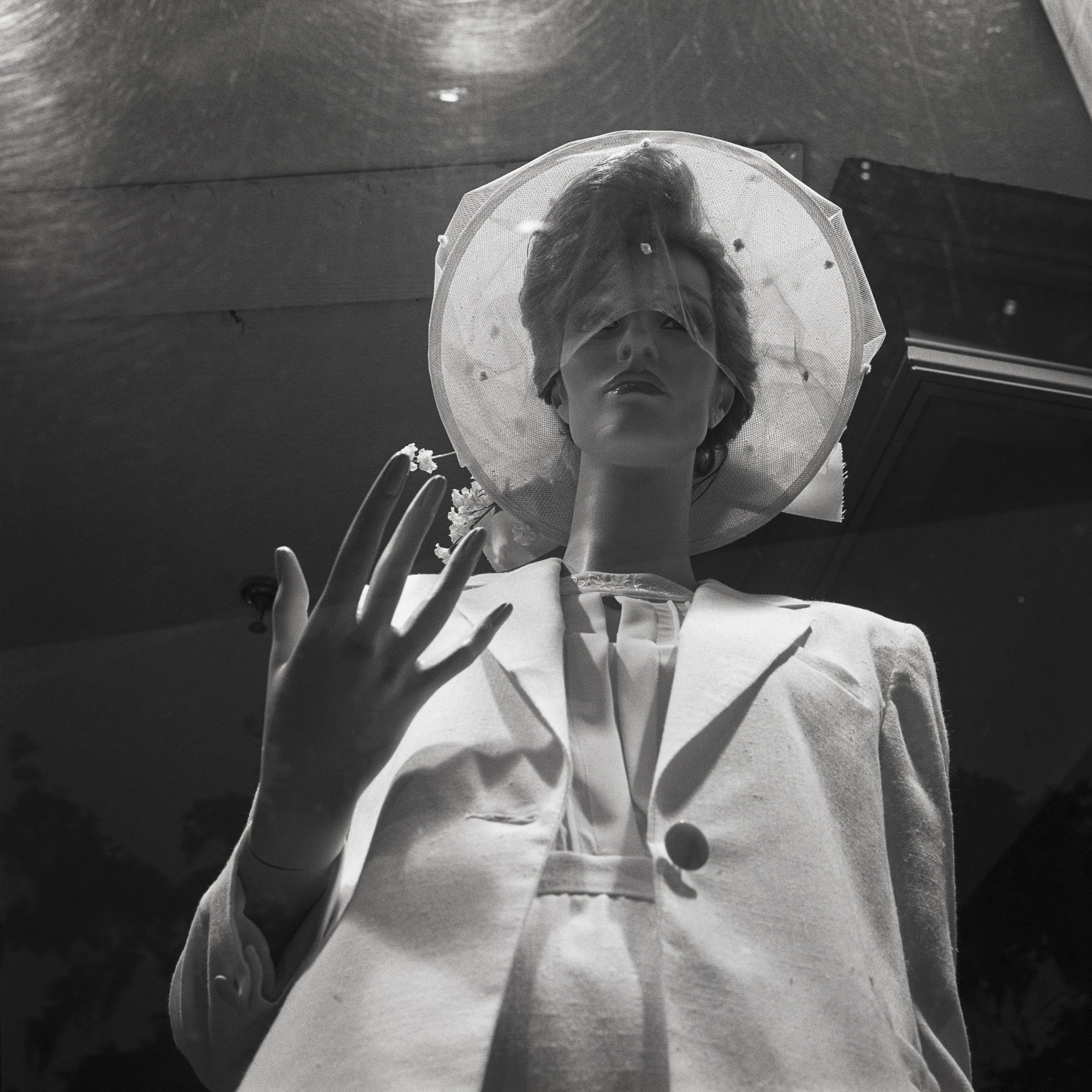 Diane Cook and Len Jenshel New 2