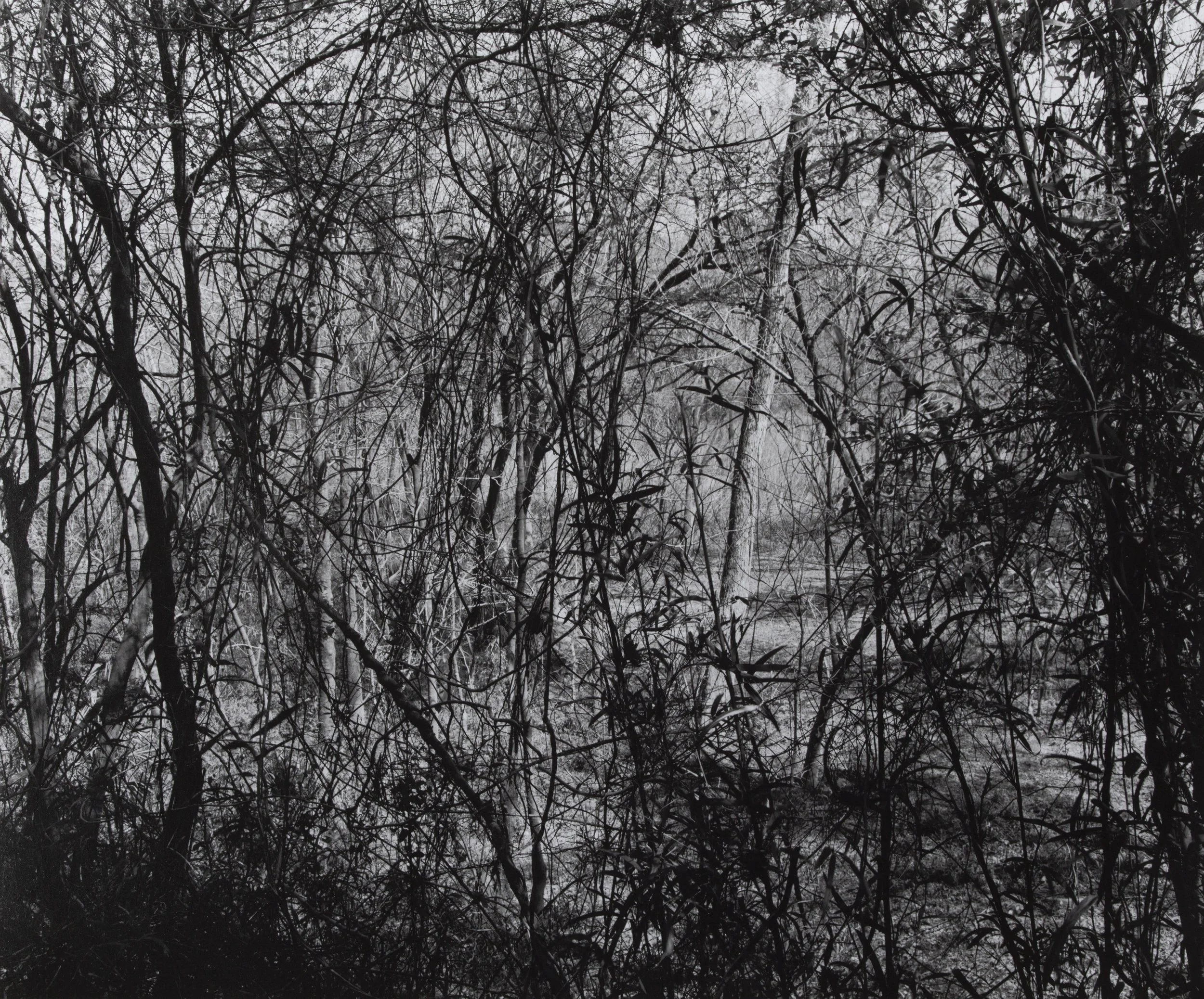 D3ColtenOrig01 Jennifer Colten.jpg