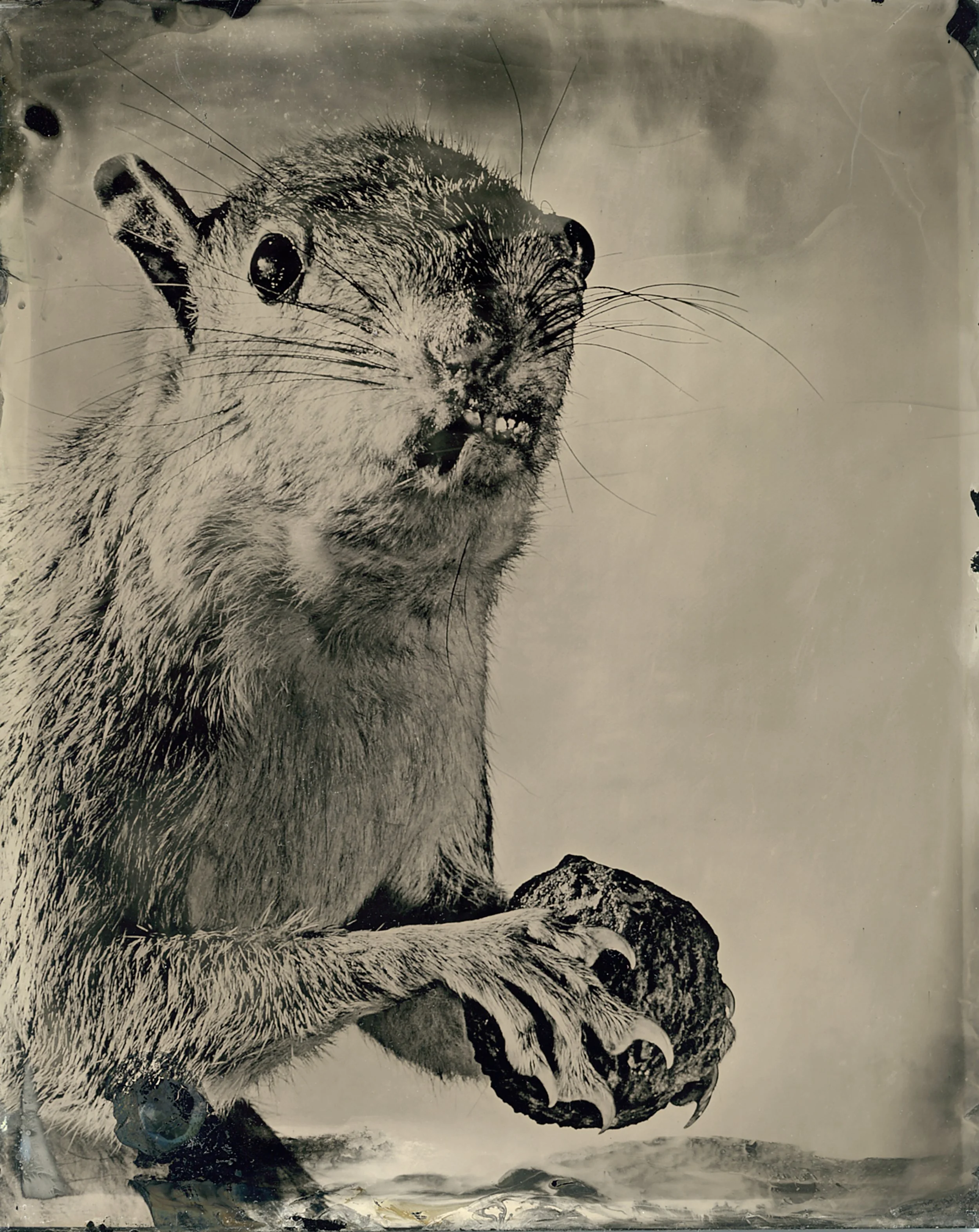 Mary Frey Original 3