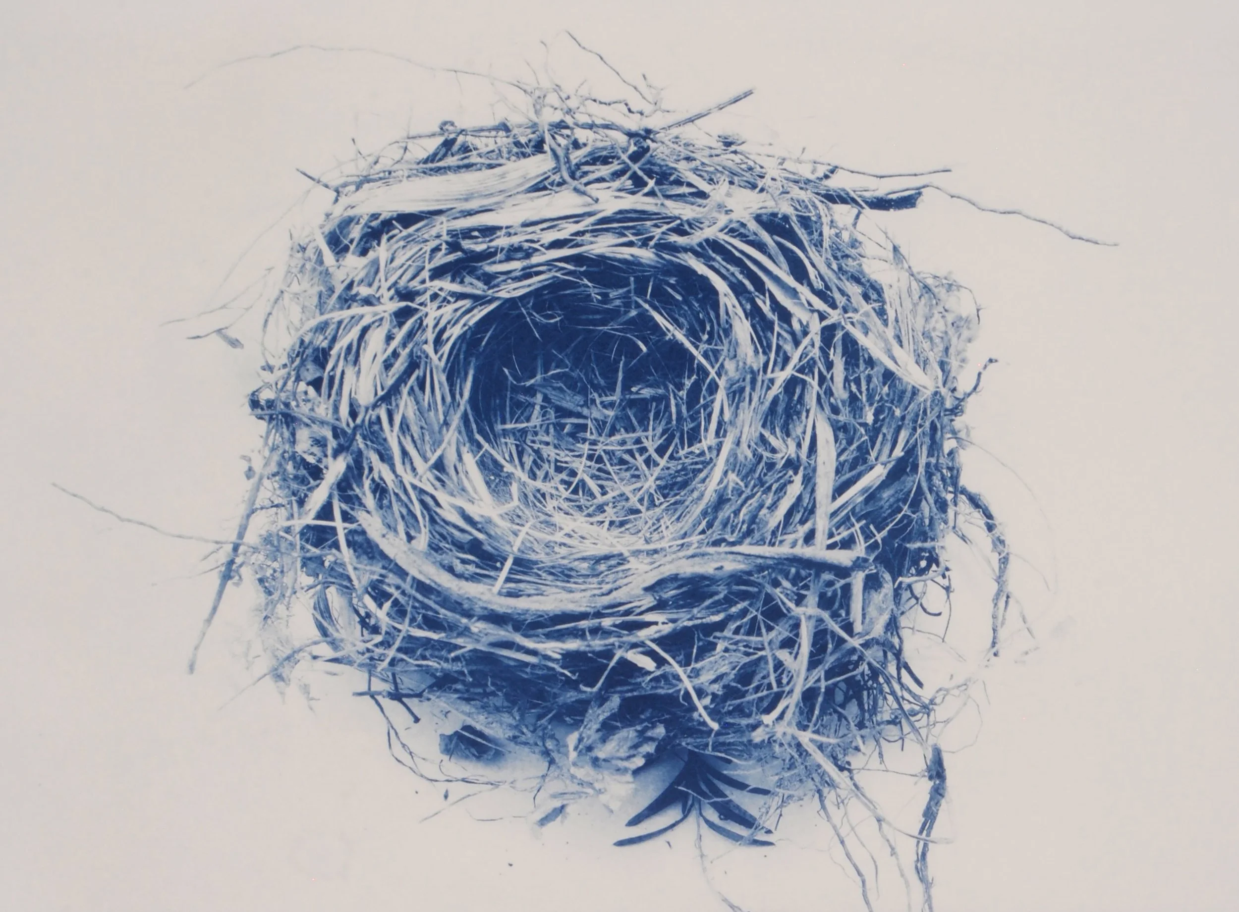 D2CapehartNew03 Lucy Capehart.jpeg