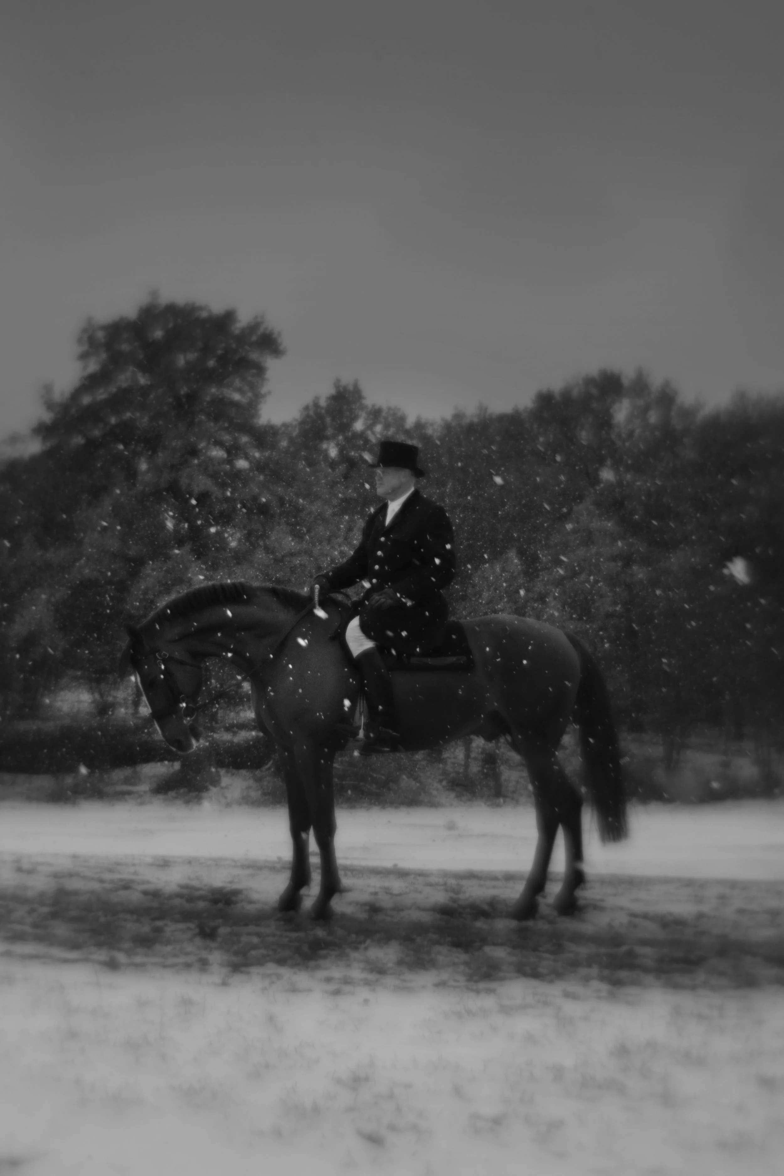 Theresia Viska New 2