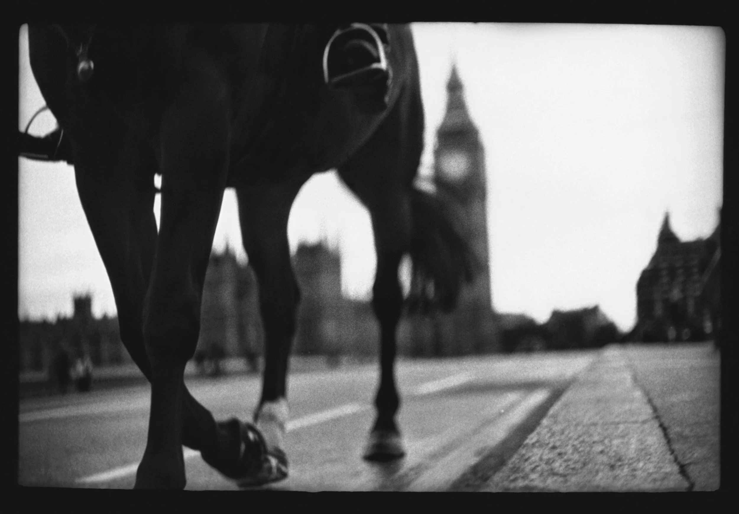 D4BrunelliNew03 Giacomo Brunelli.jpg